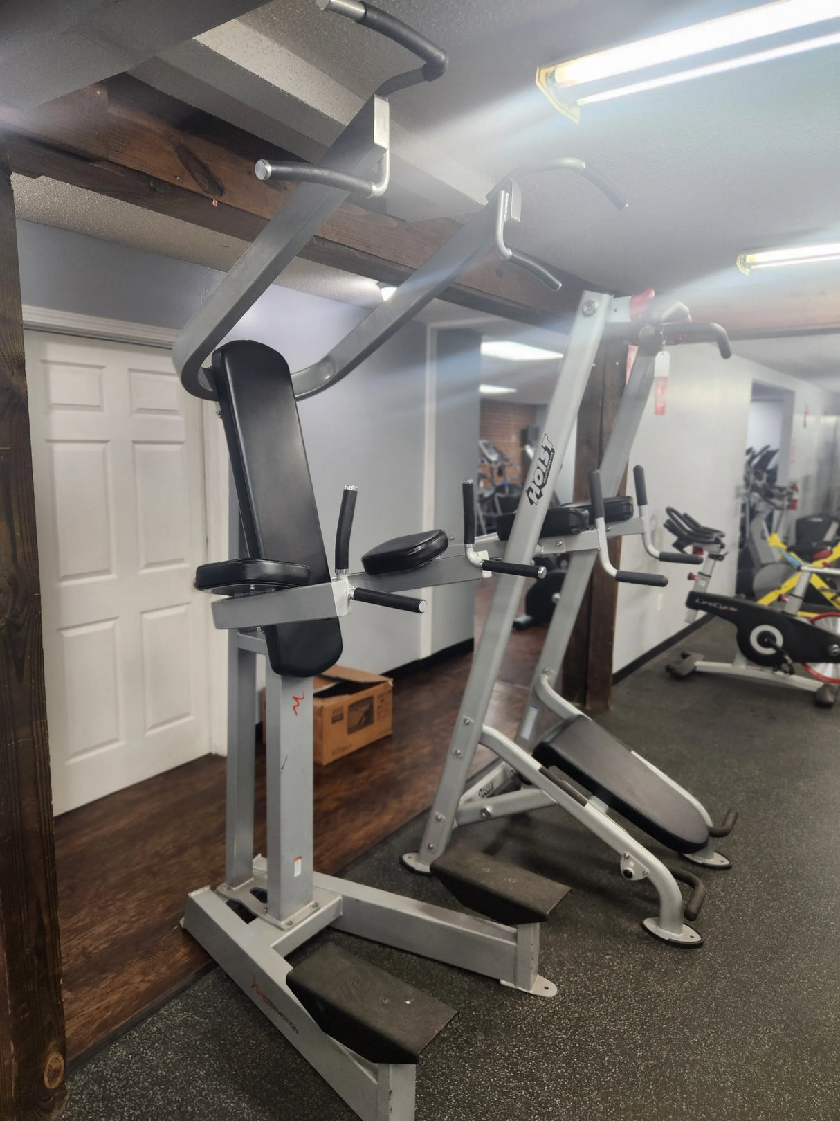 Freemotion Epic Dip/Chin/Ab