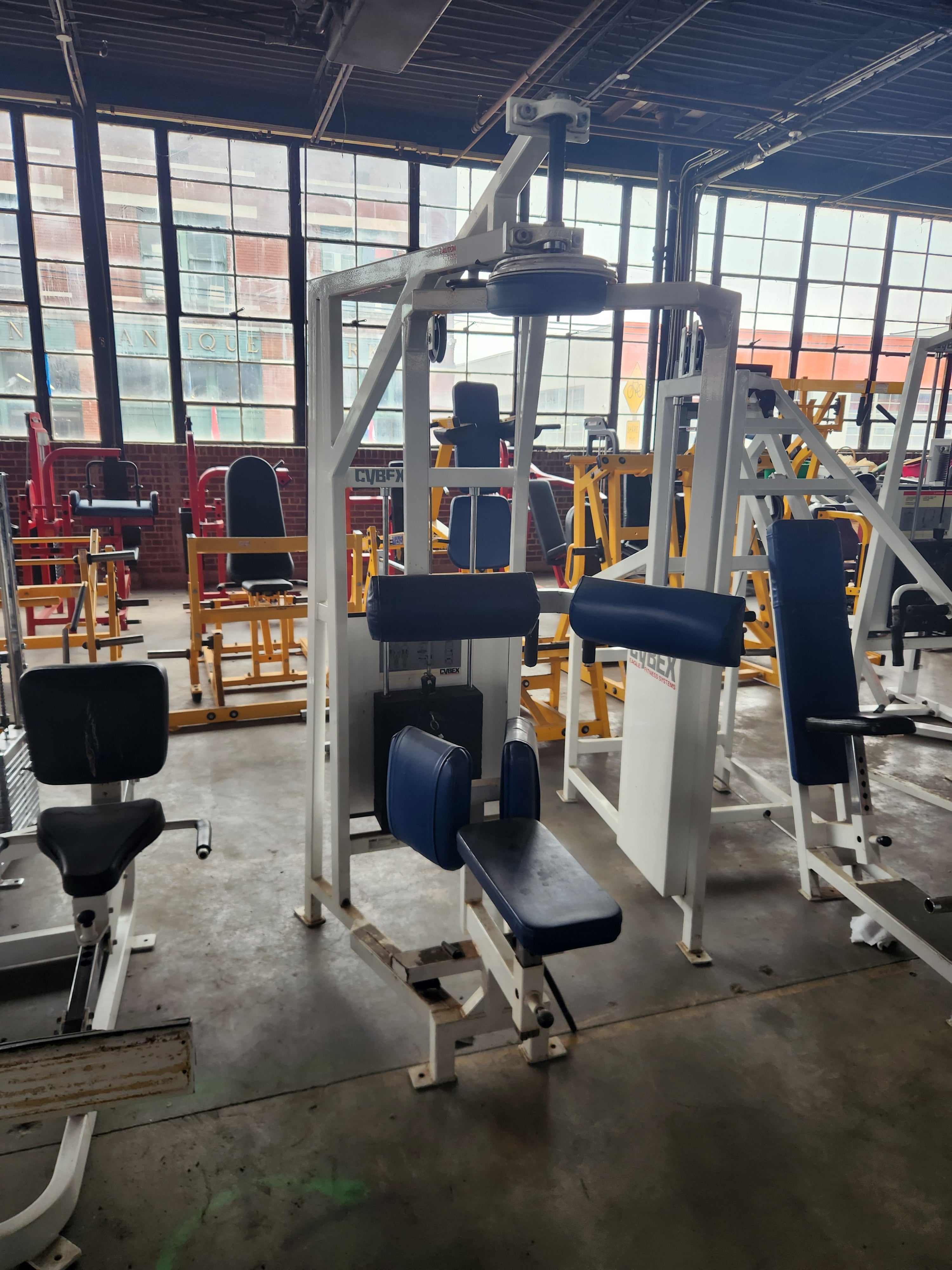 cybex rotary torso Pre-Owned Cybex 4201 Rotary Torso Machine – Exercise Unlimited