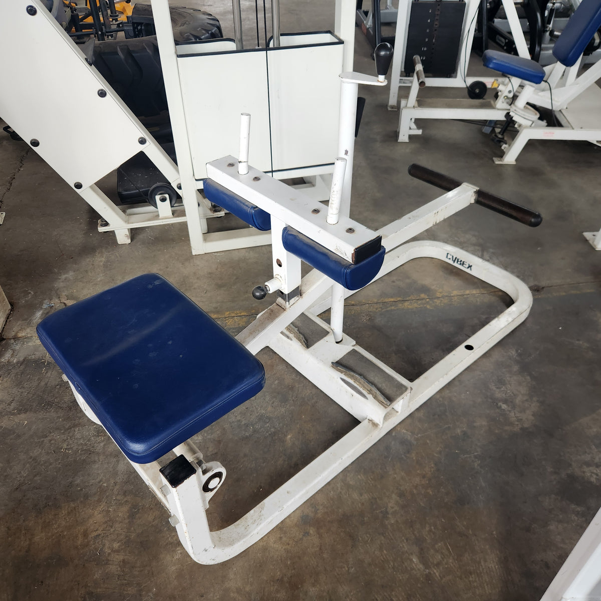 cybex leg raise chair Pre-Owned Cybex Plate Loaded Seated Calf Raise (blue) – Exercise Unlimited