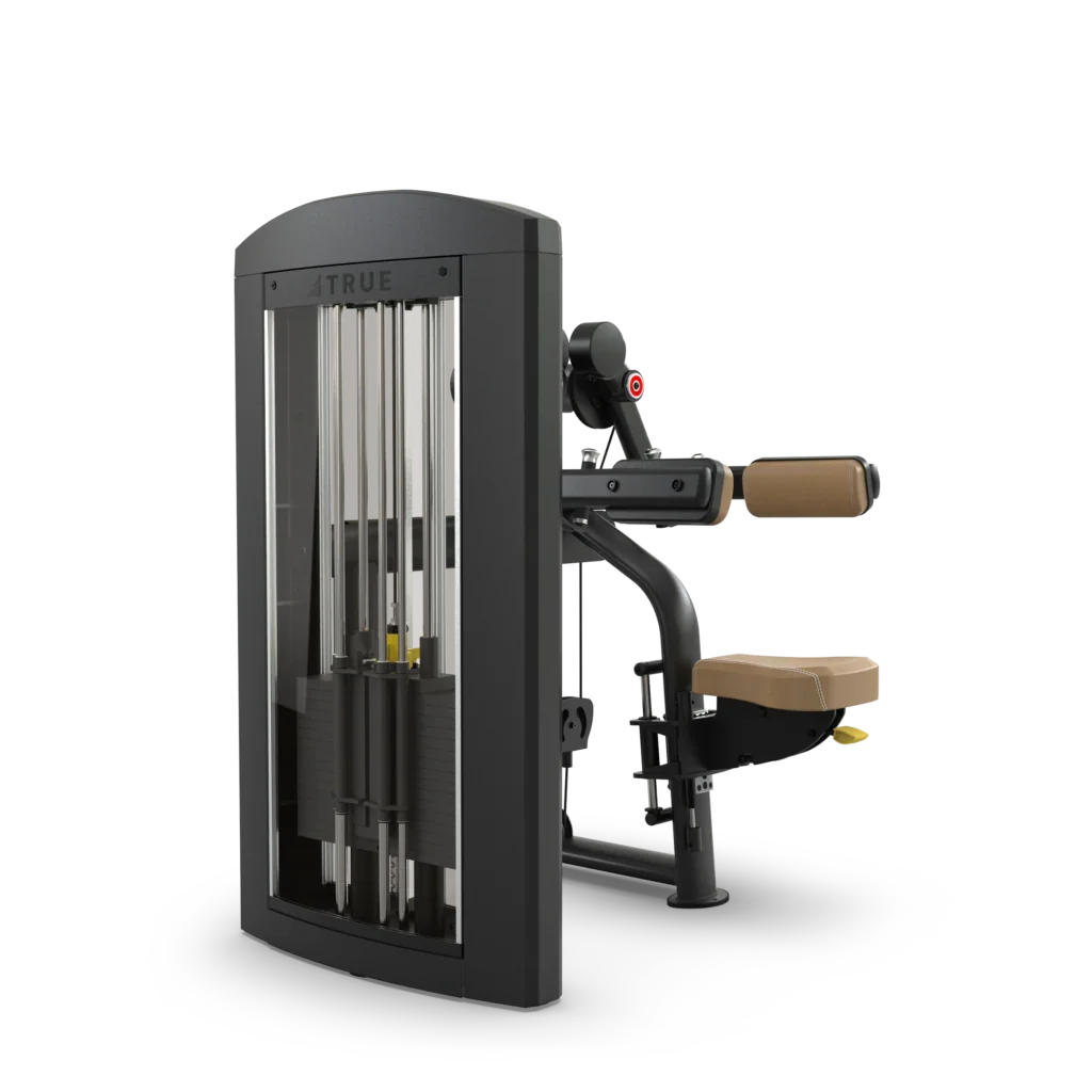 True Fitness Palladium Series Deltoid Raise