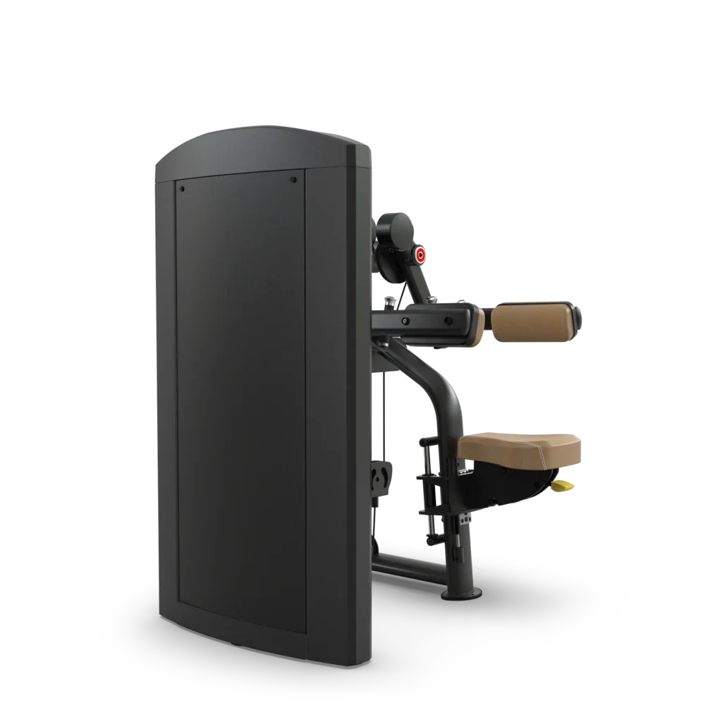 True Fitness Palladium Series Deltoid Raise