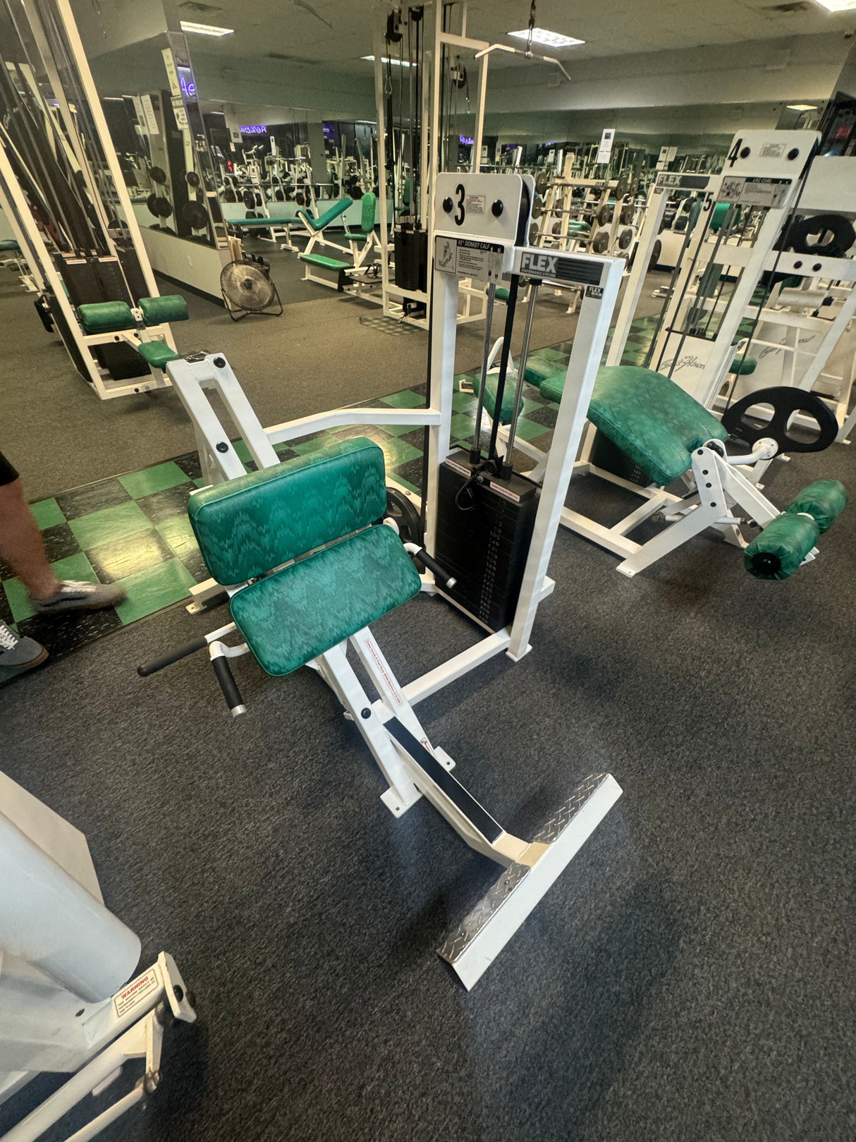 Pre-Owned Flex Fitness Donkey Calf