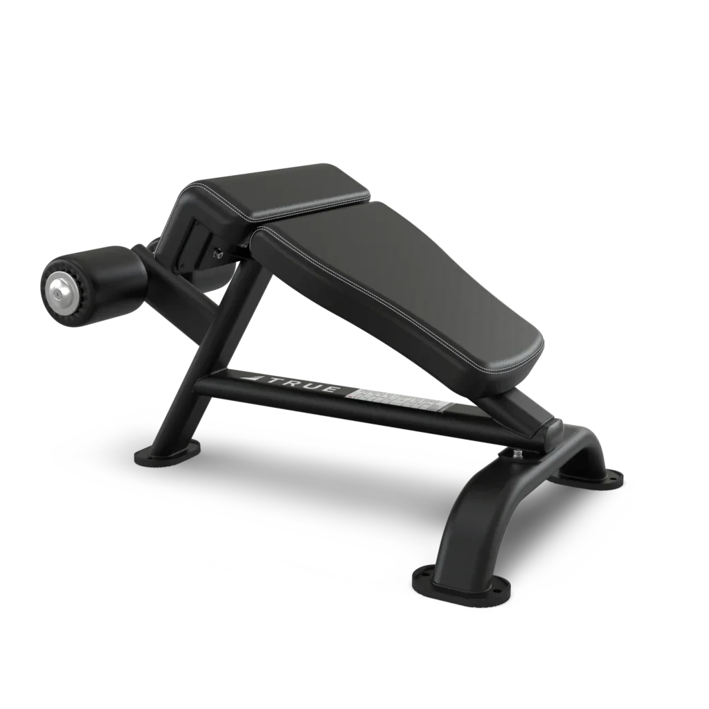 True Fitness SF-1010 Ab Bench