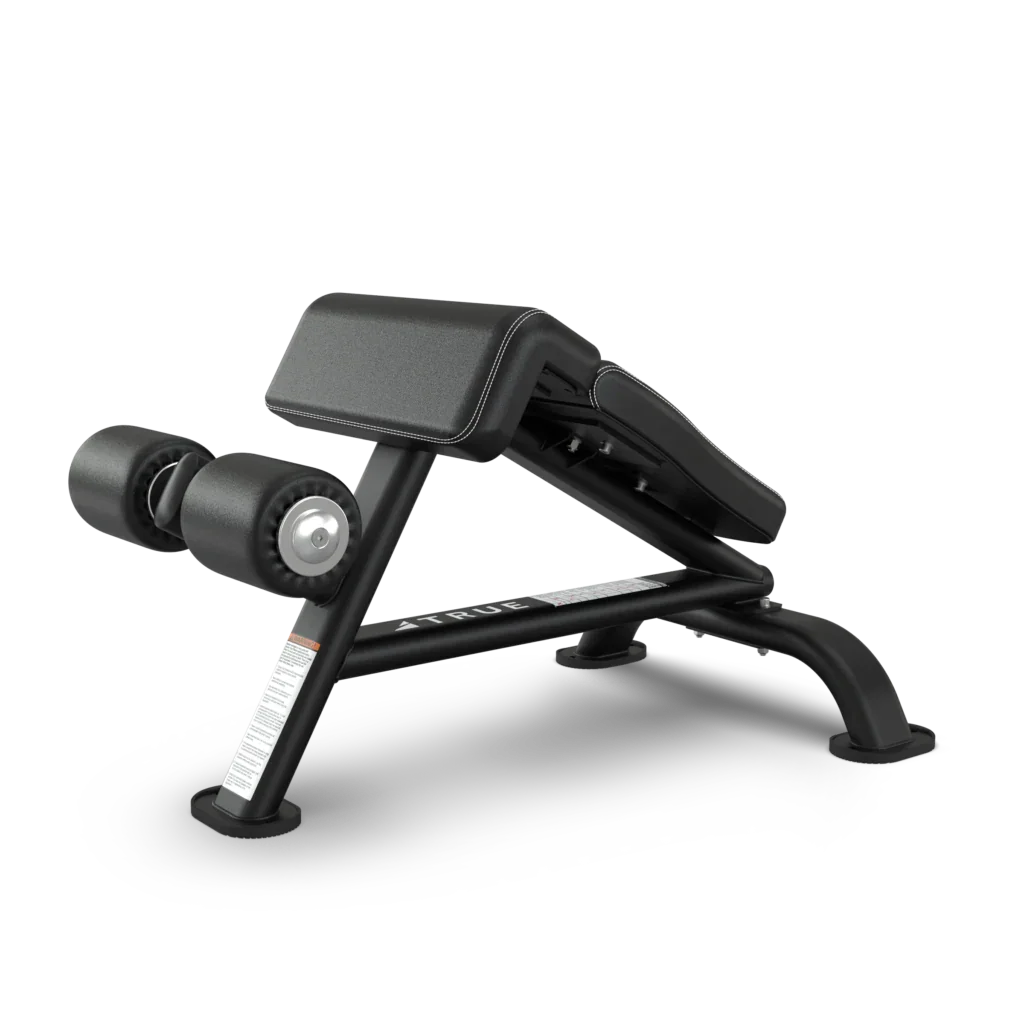 True Fitness SF-1010 Ab Bench