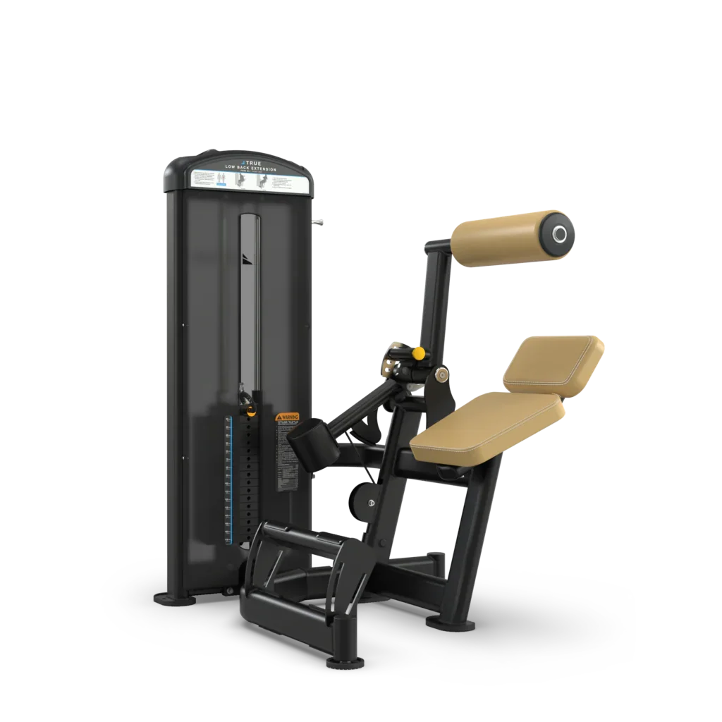True Fitness FUSE-1300 Lower Back Extension