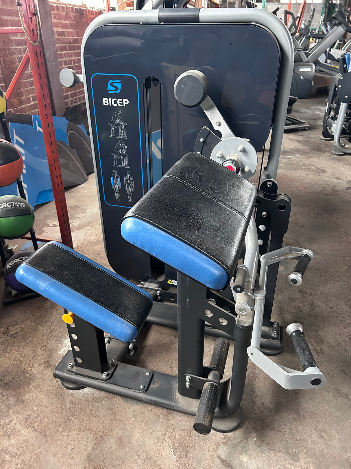 Spirit Selectorized Bicep Curl Demo Model - Exercise Unlimited