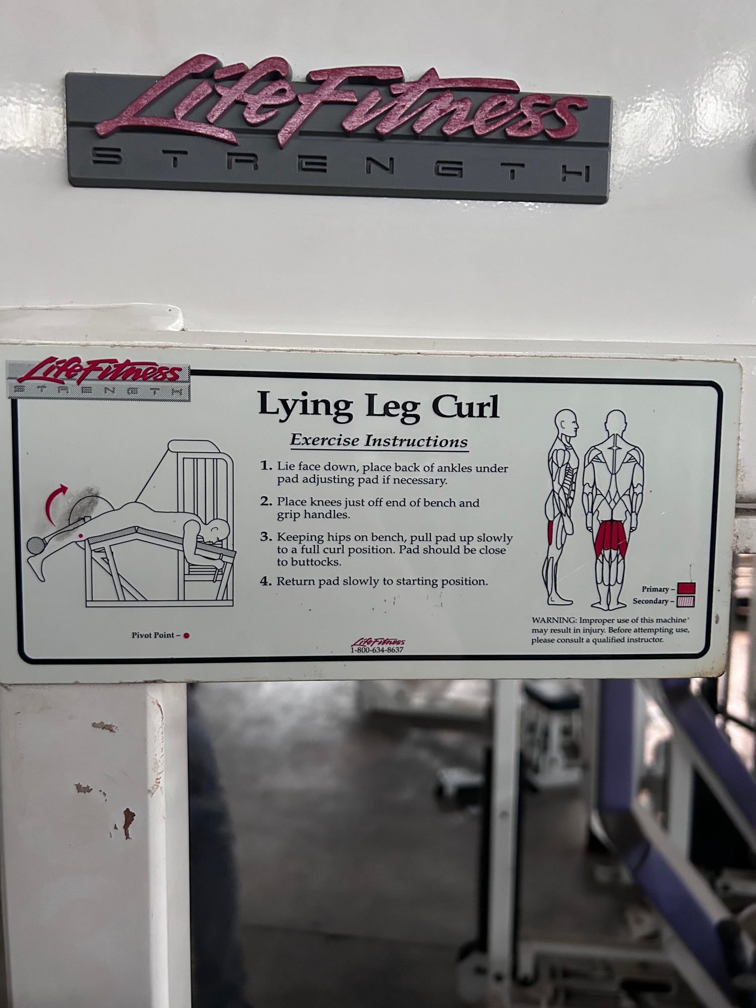 Pre-Owned Life Fitness Lying Leg Curl - Exercise Unlimited