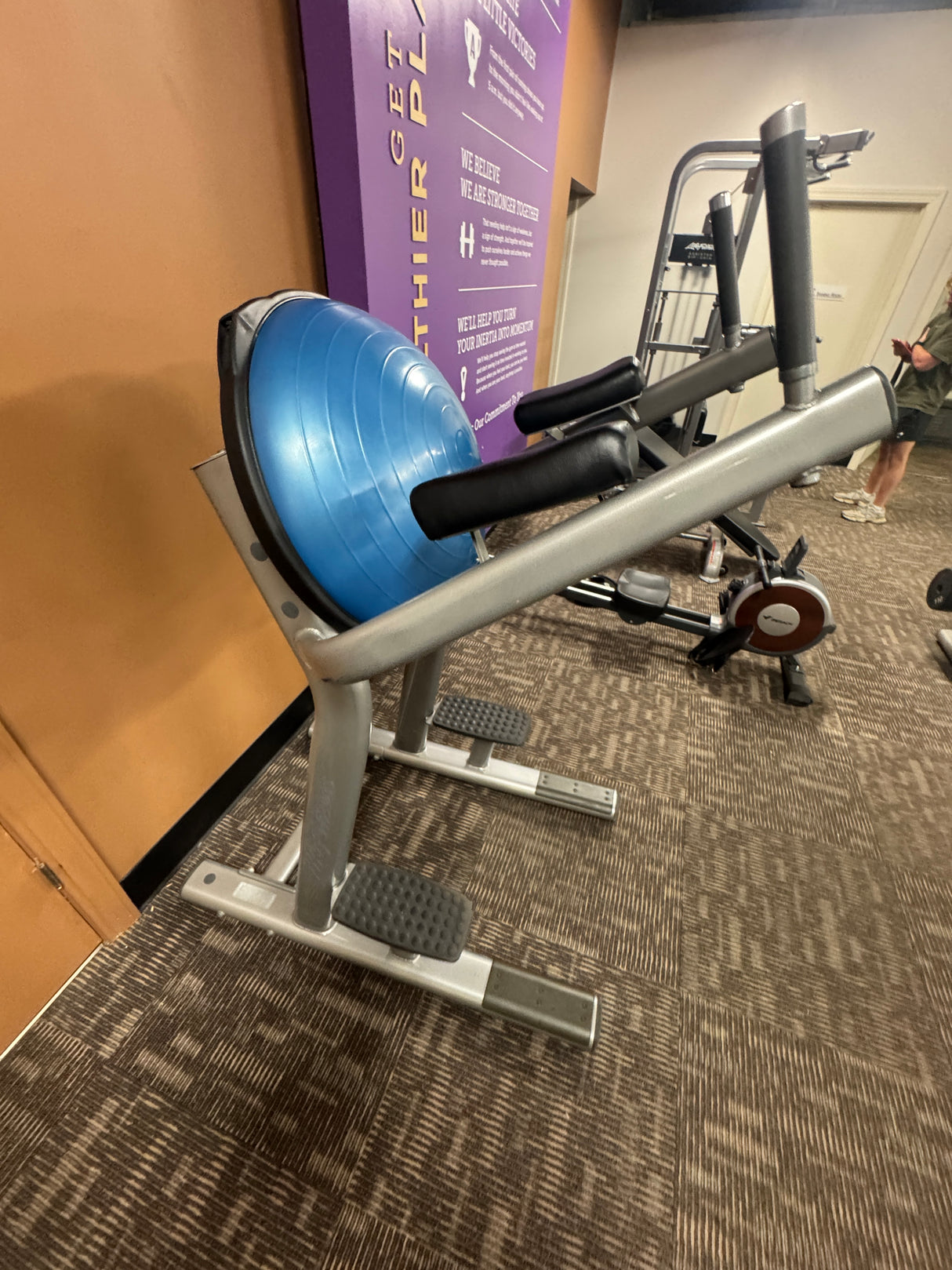 Pre-Owned Life Fitness Signature Series Leg raise w/ Bosu Ball