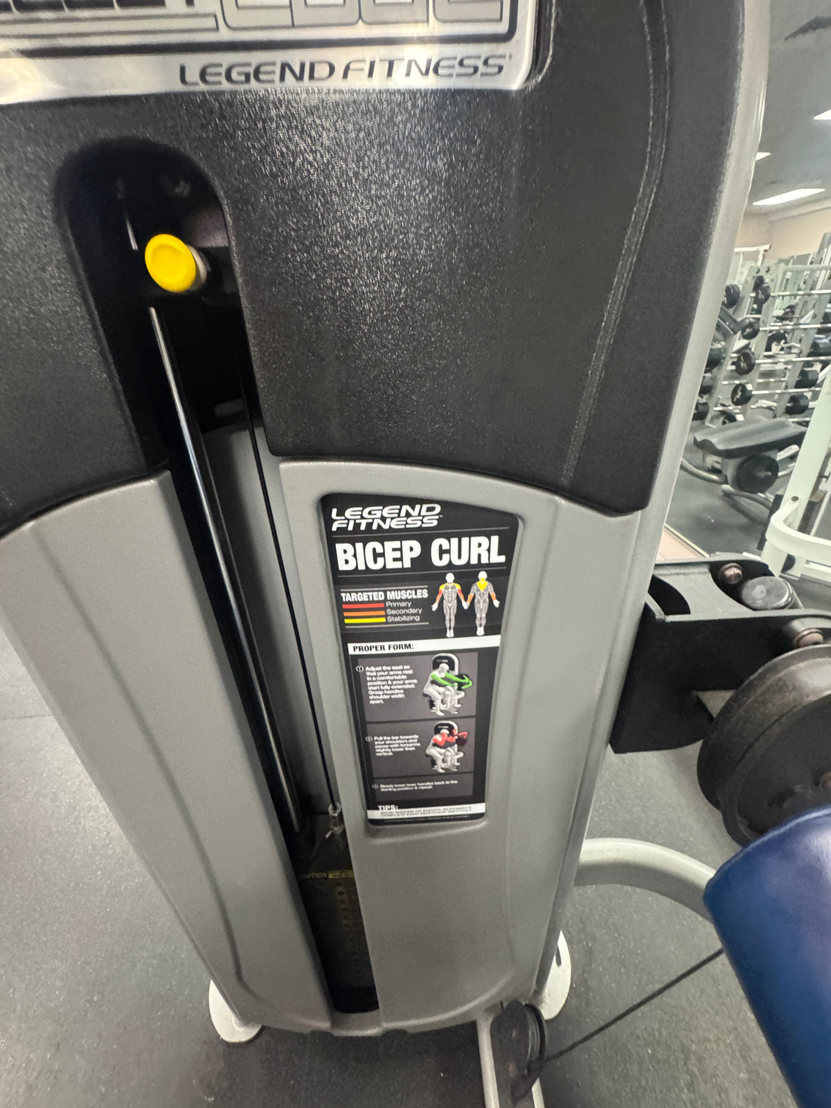 Pre-Owned Legend Fitness SelectEDGE Bicep Curl
