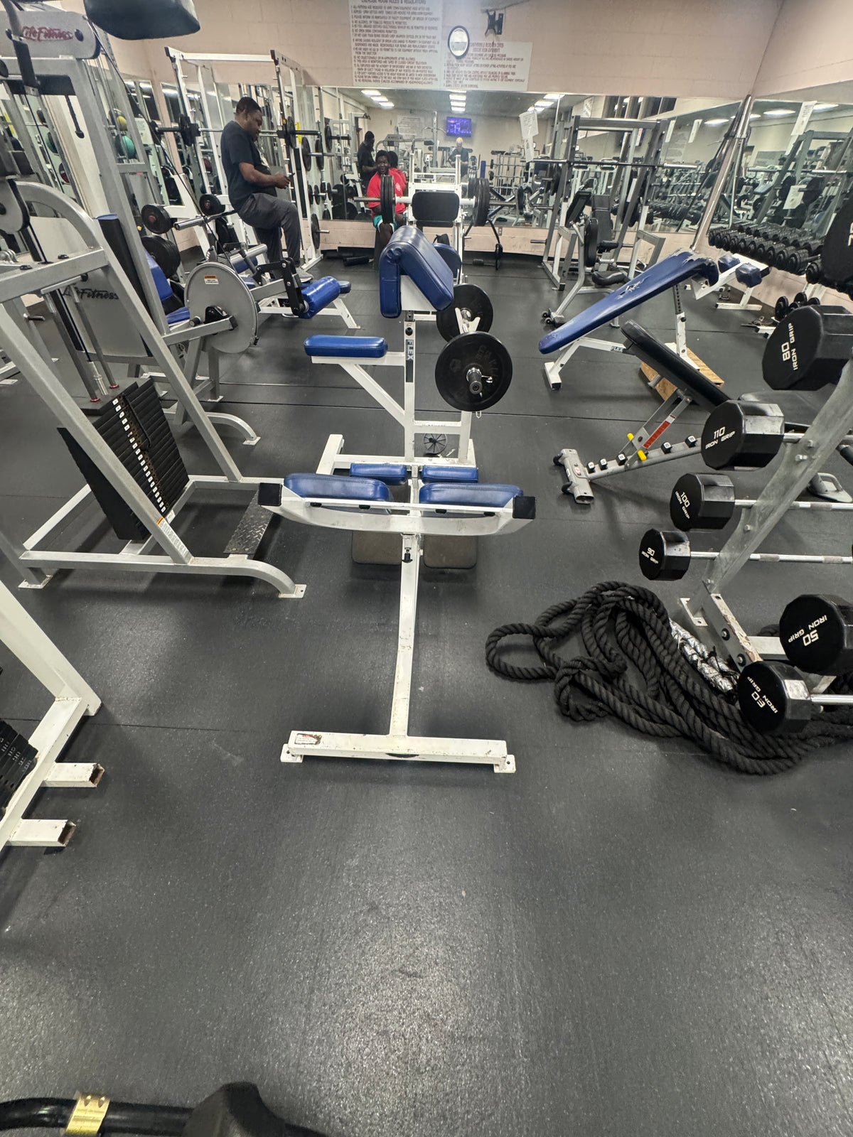 Pre-Owned Flex Fitness Lower Back Extension