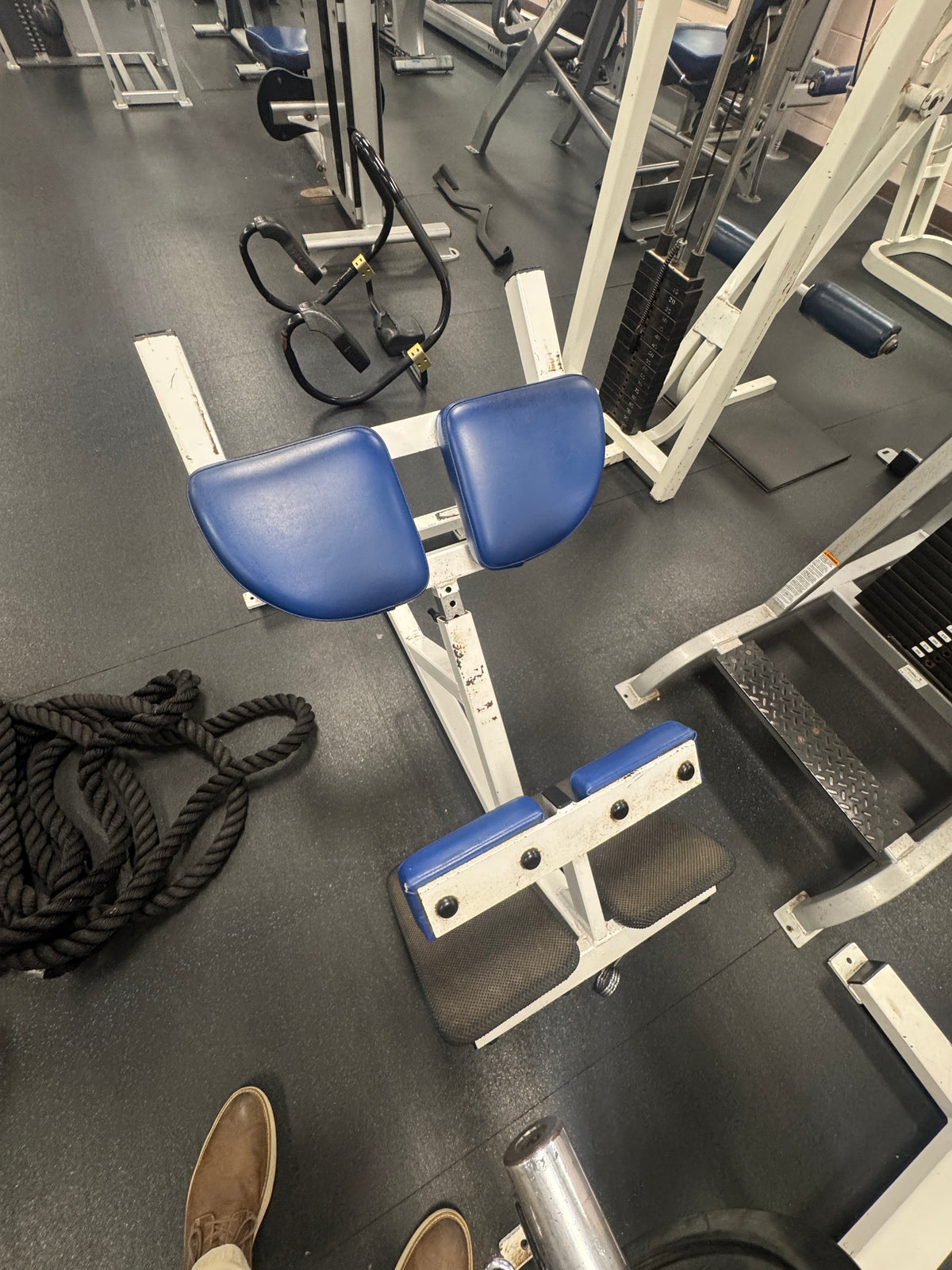 Pre-Owned Flex Fitness Lower Back Extension