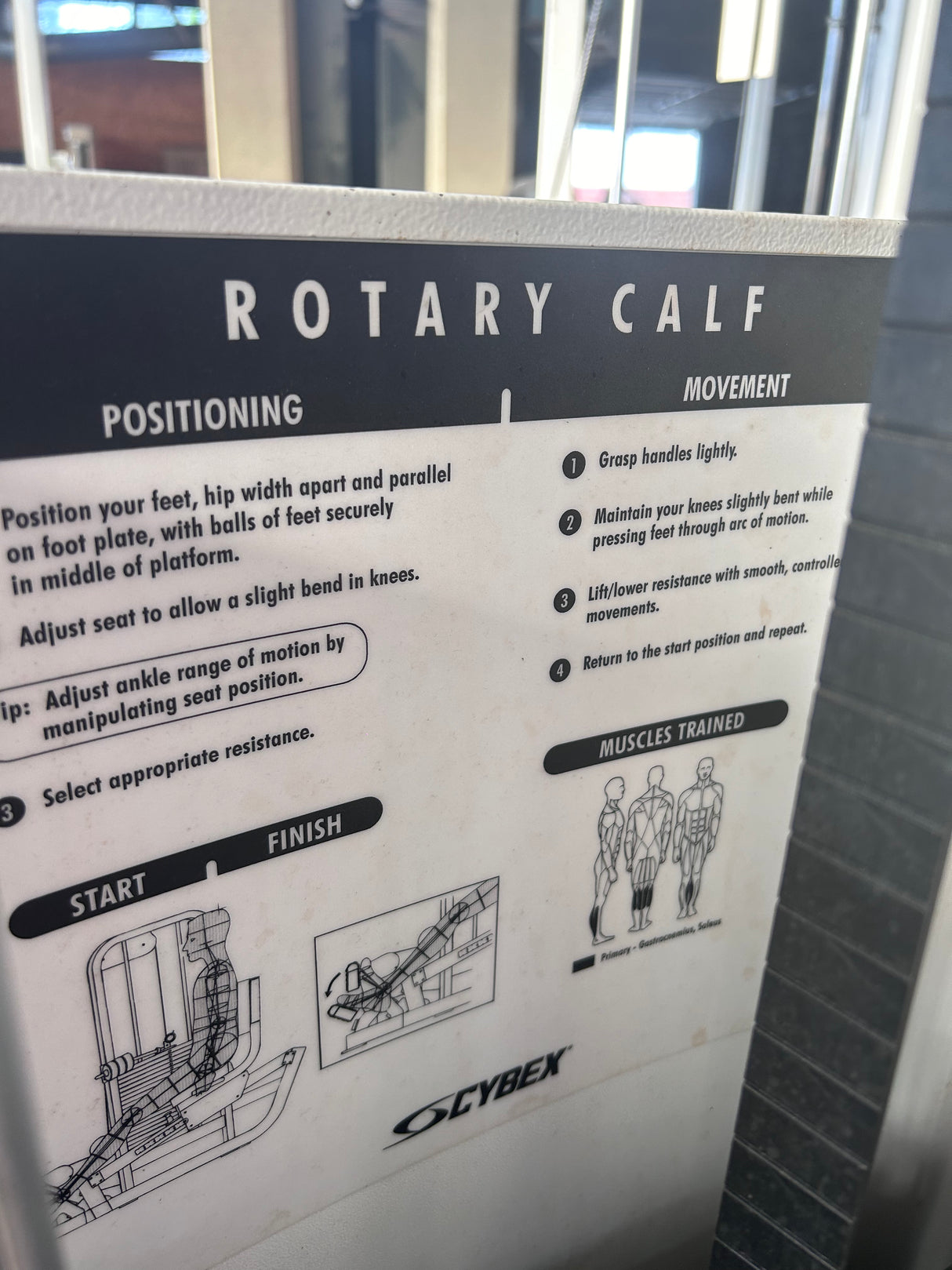 Pre-Owned Cybex VR2 Selectorized Rotary Calf - Exercise Unlimited