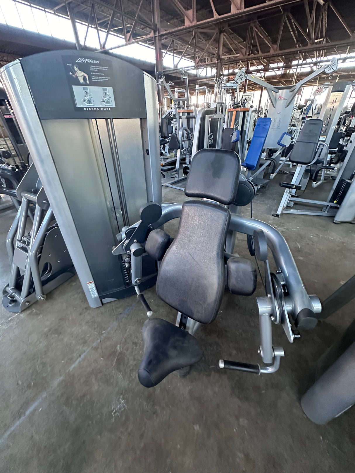 Pre-Owned Life Fitness Signature Series Biceps Curl - Exercise Unlimited