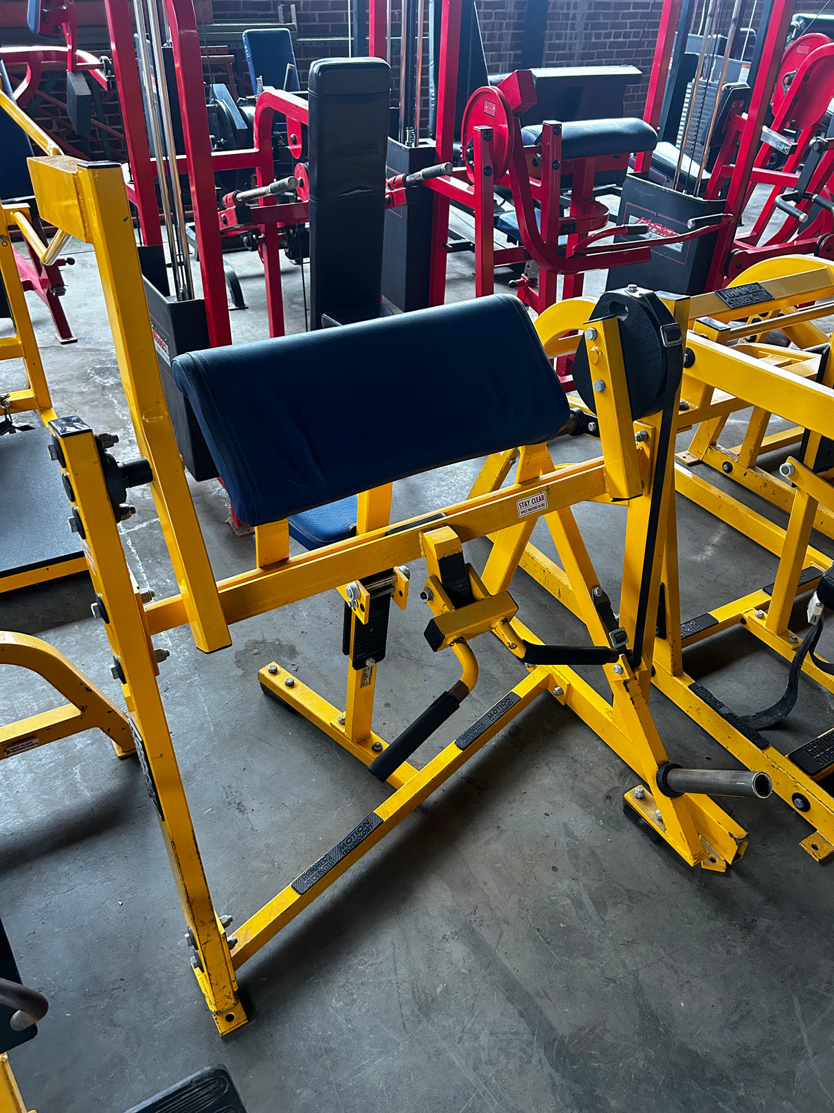 Pre-Owned Hammer Strength Seated Bicep