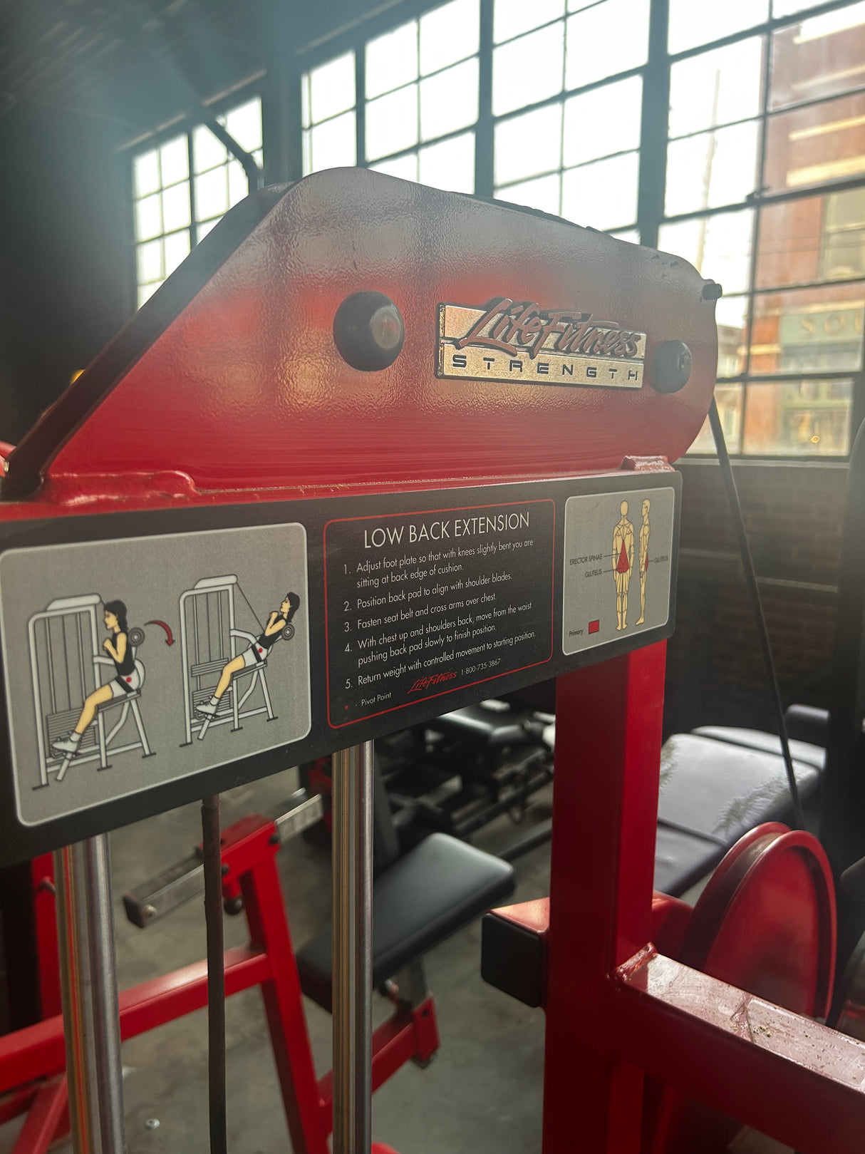 Pre-Owned Life Fitness Pro Series Low Back Extension