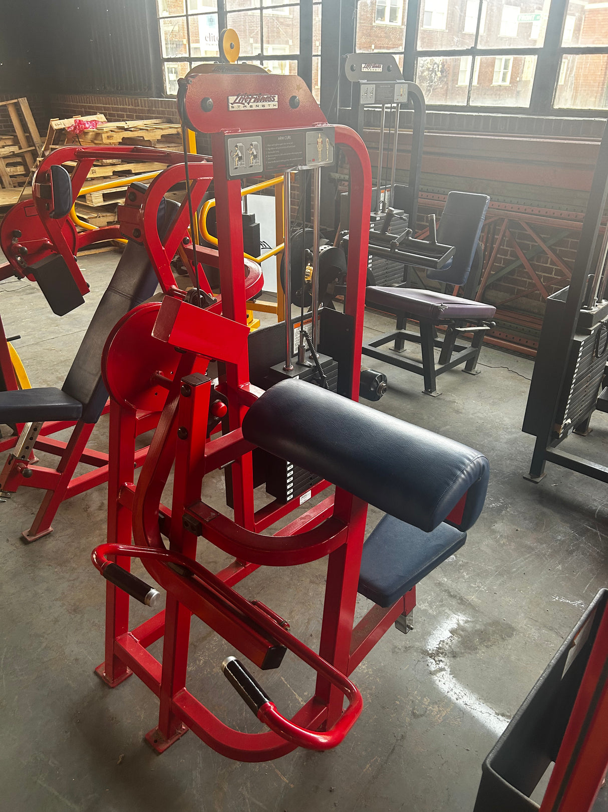 Pre-Owned Life Fitness Pro Series Arm Curl