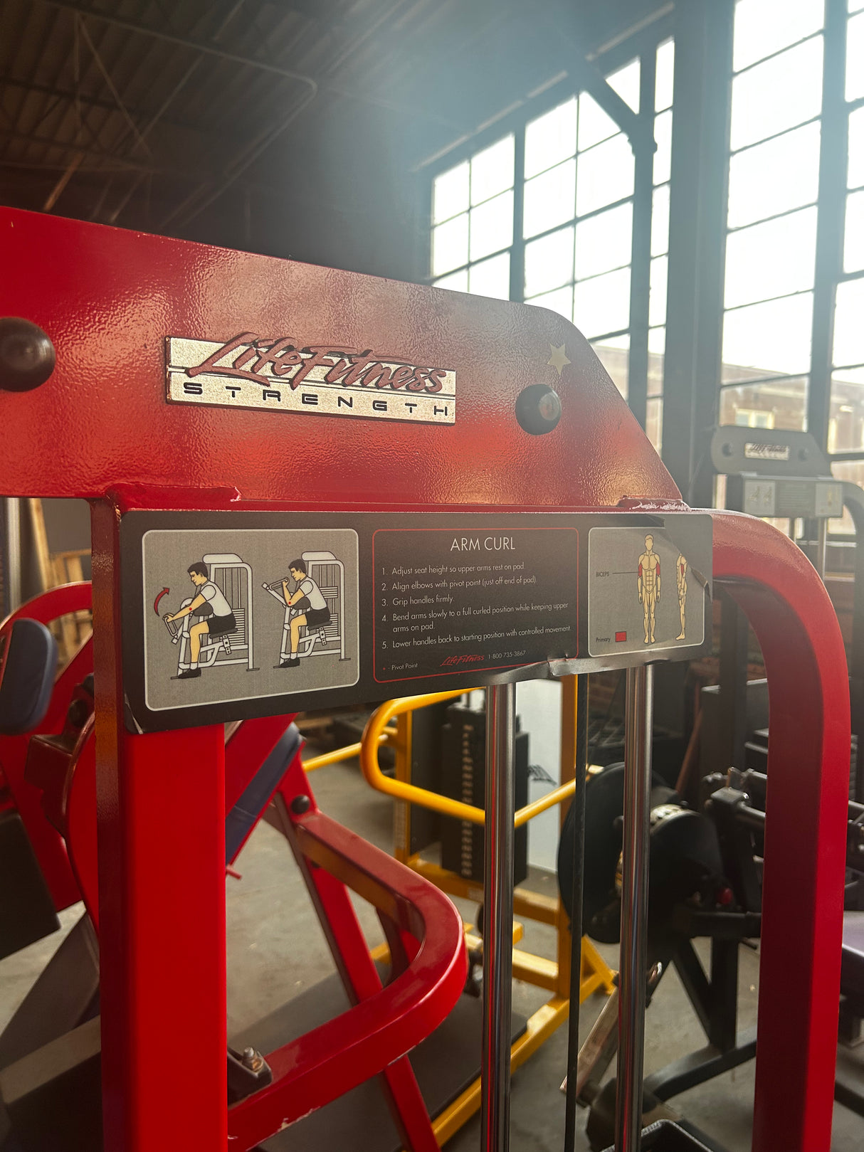 Pre-Owned Life Fitness Pro Series Arm Curl