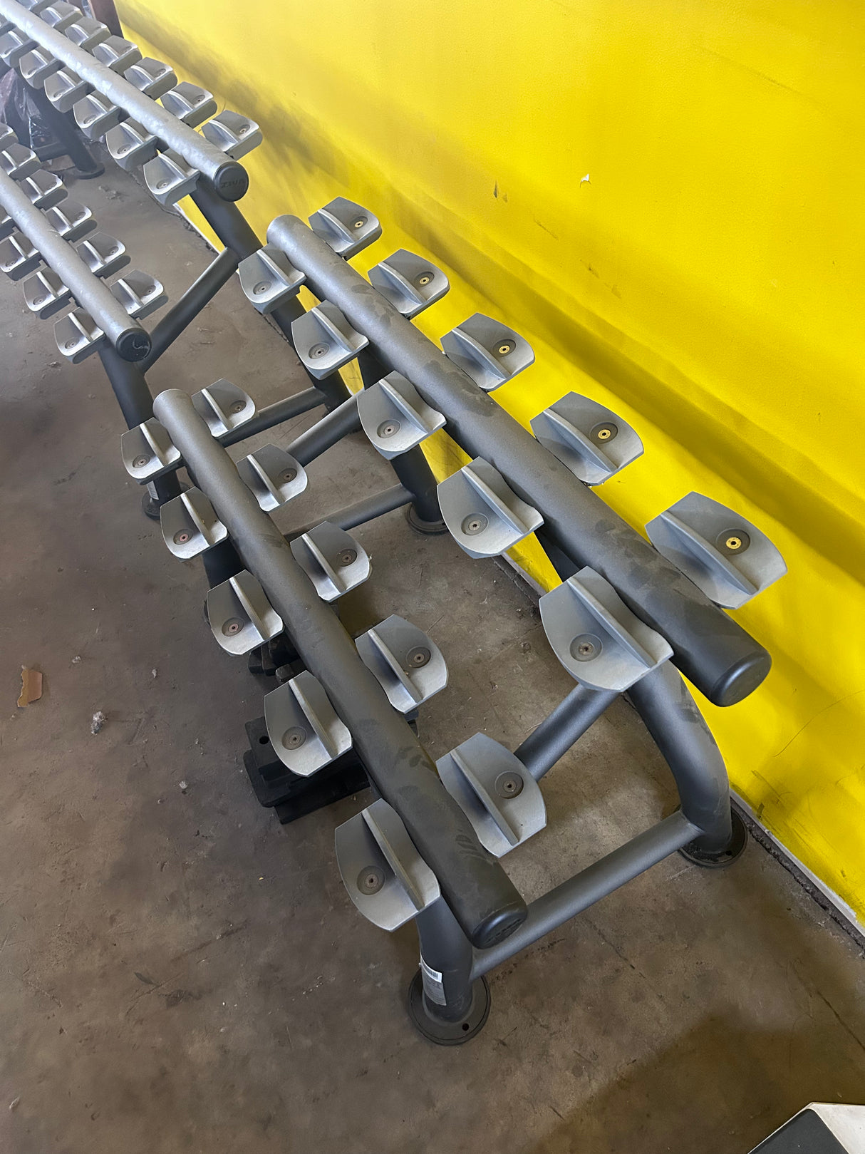 Spirit Ziva 5-Pair Dumbbell Rack - Exercise Unlimited