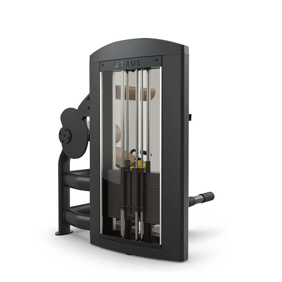 True Fitness Palladium Series Low Back Extension