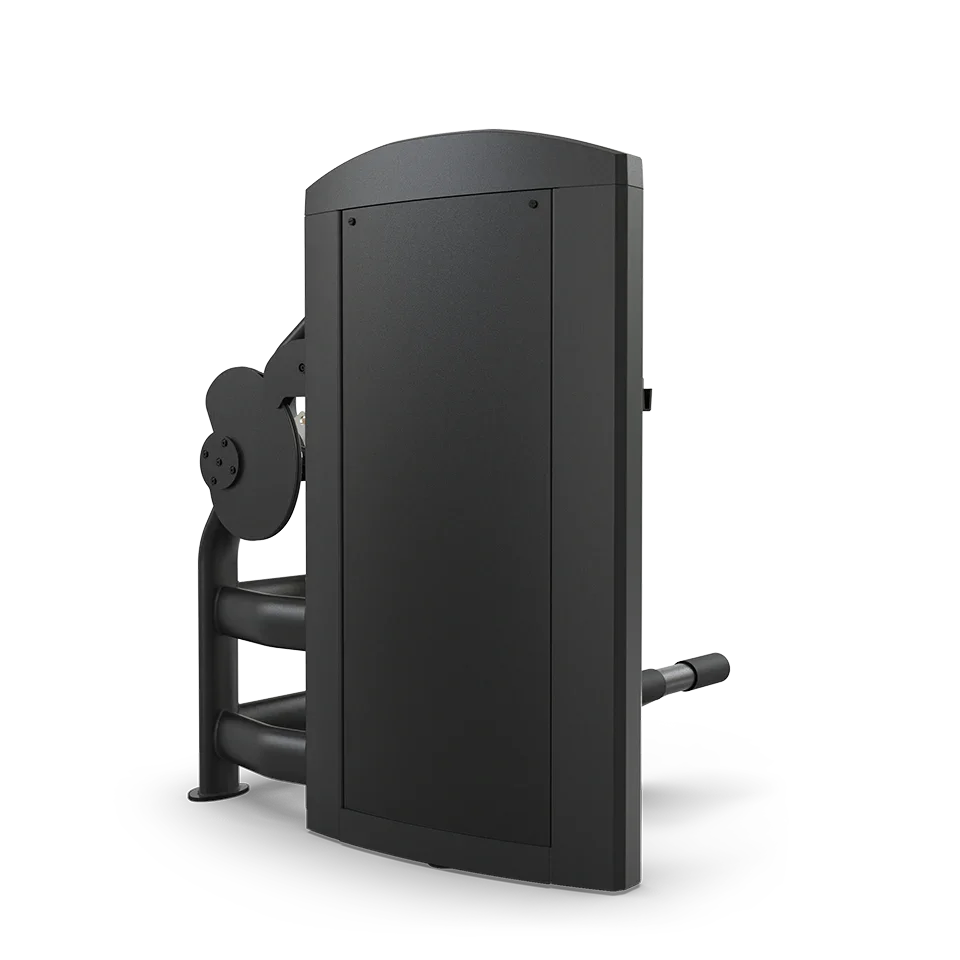 True Fitness Palladium Series Low Back Extension