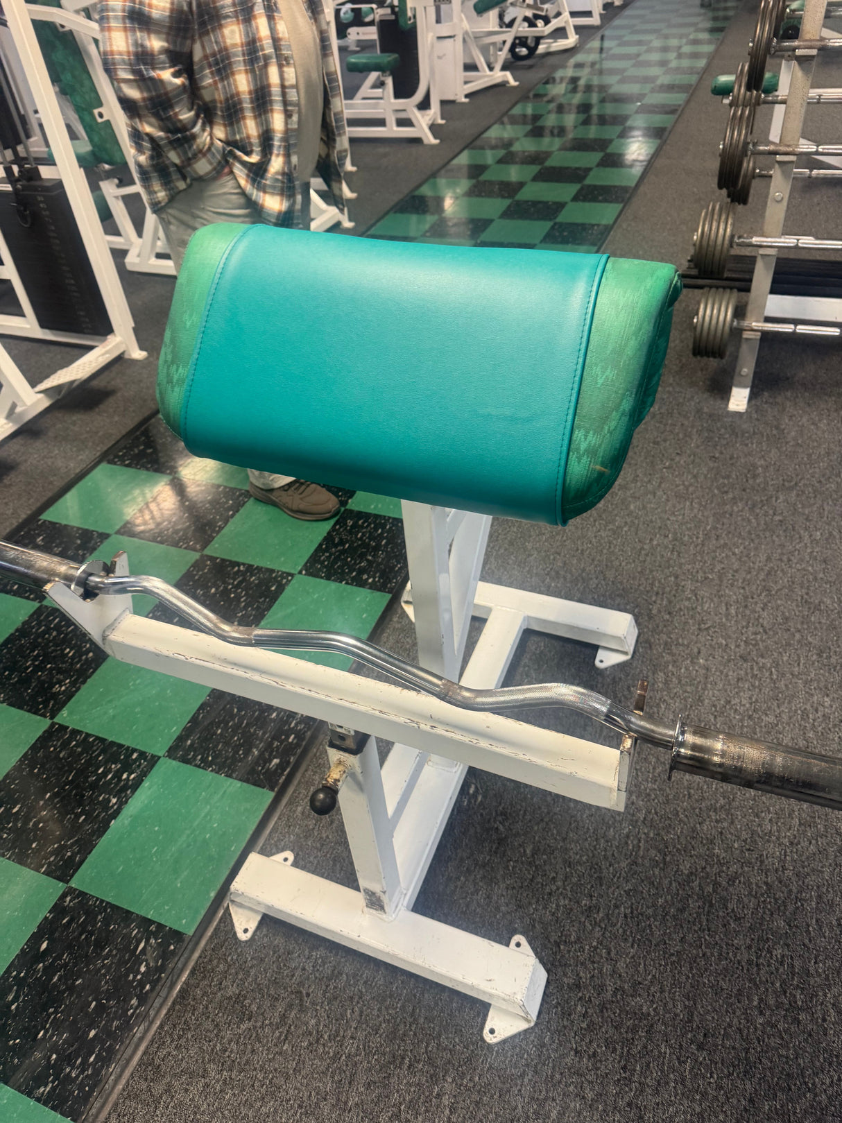 Pre-Owned Flex Fitness Preacher Curl