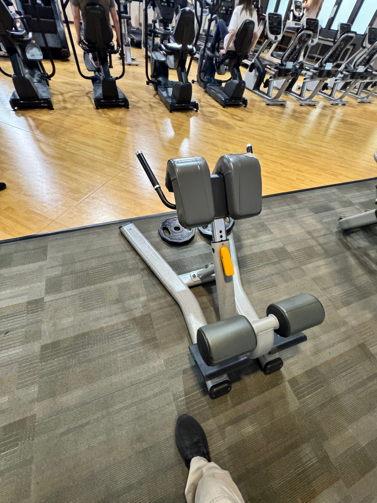 Pre-Owned Precor Back Extension Ab Bench