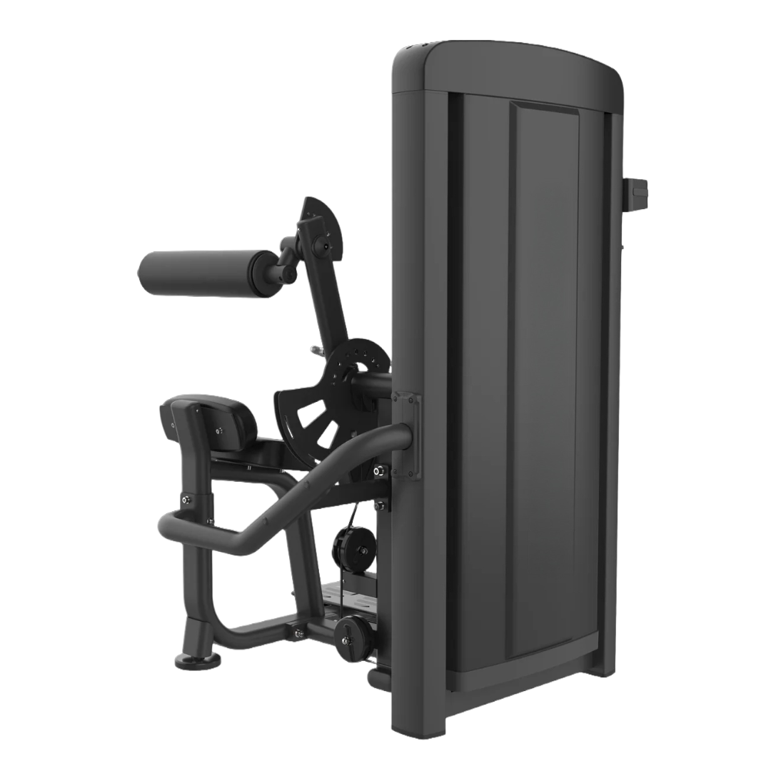 Exercise Unlimited Seated Back Extension