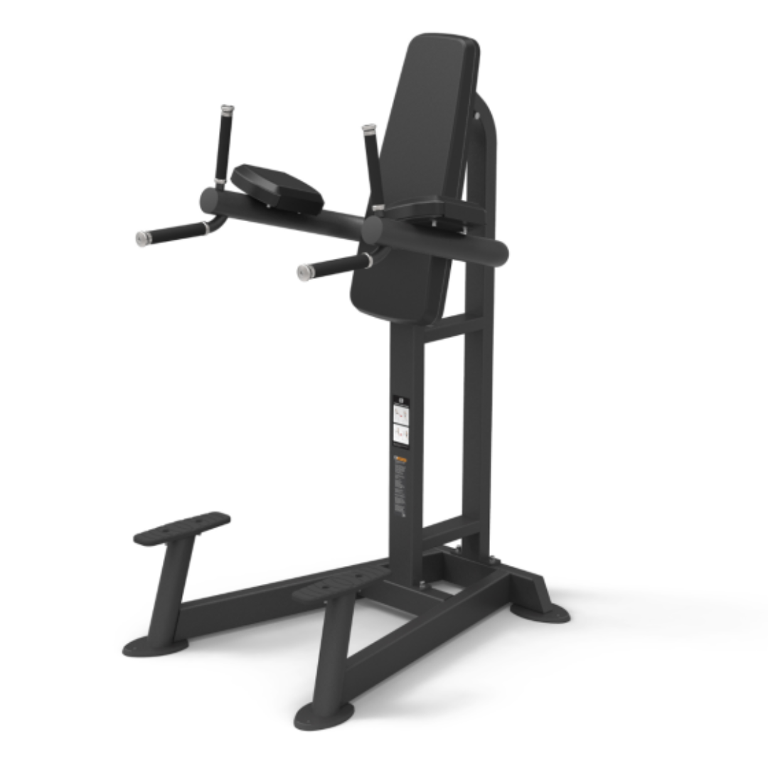 Spirit Fitness Vertical Leg Raise / Dip