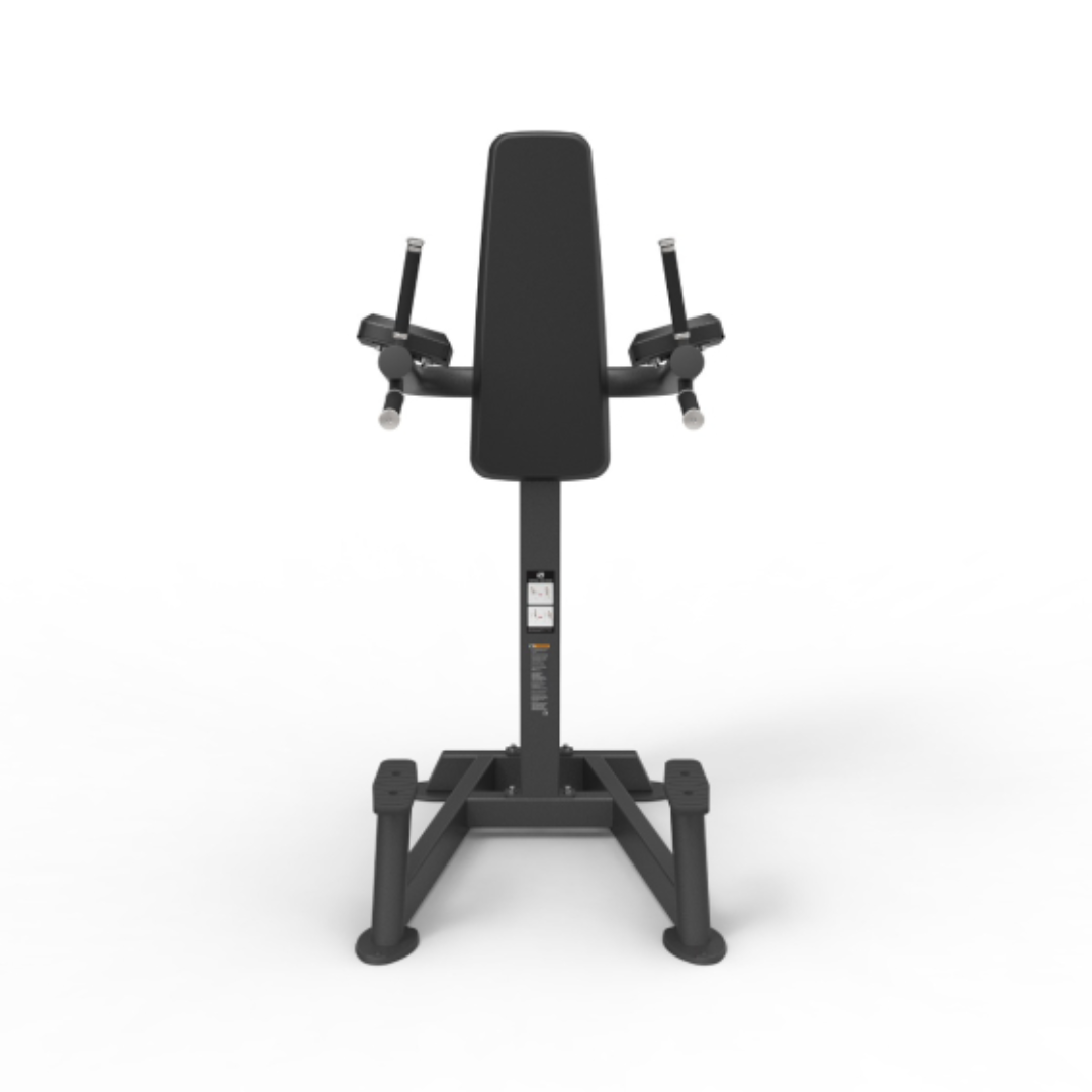 Spirit Fitness Vertical Leg Raise / Dip