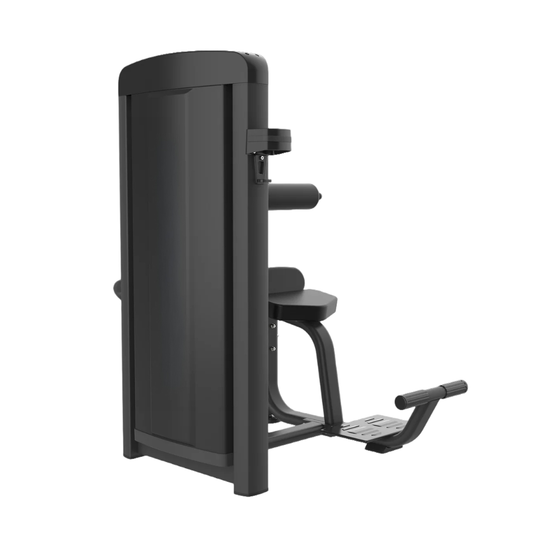 Exercise Unlimited Seated Back Extension