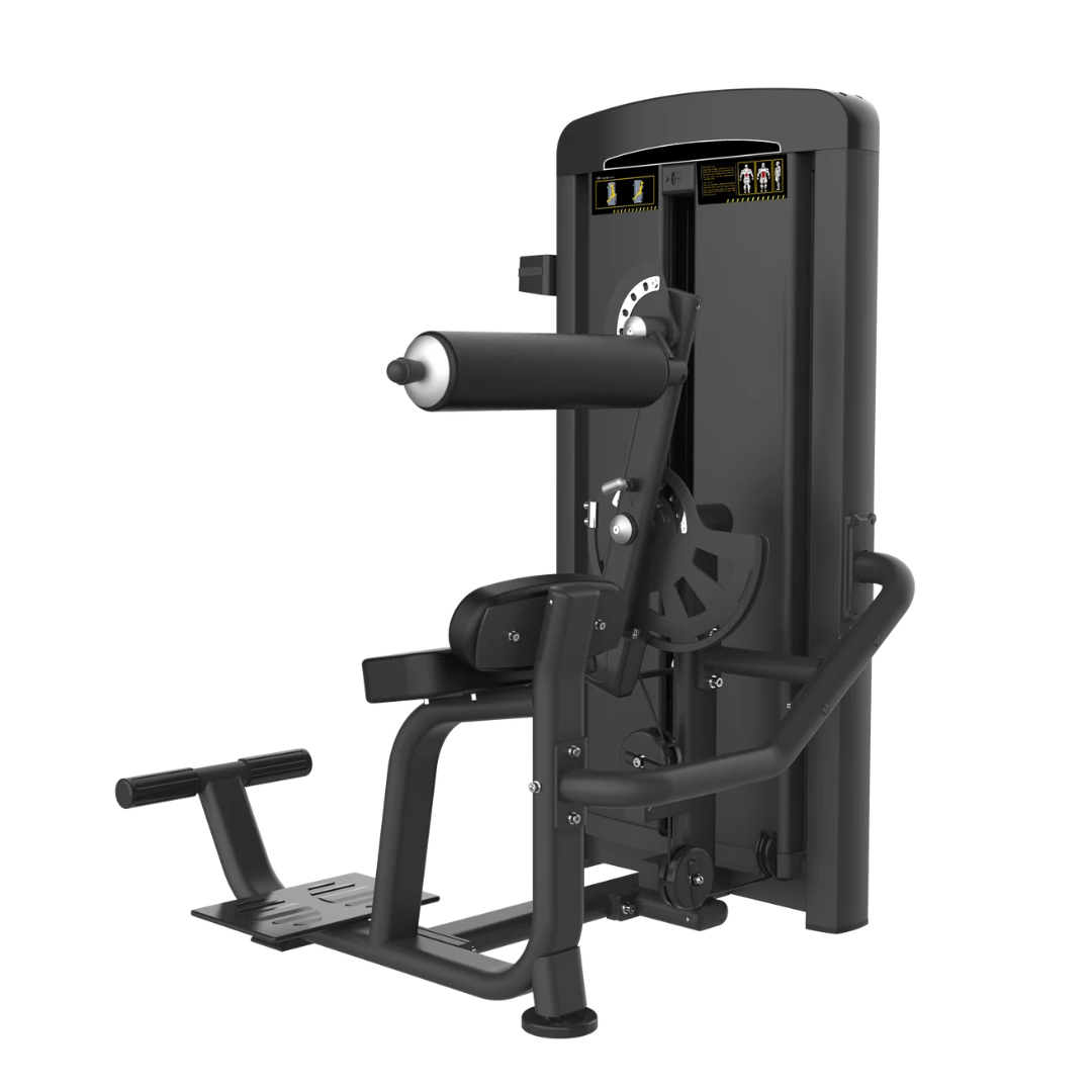 Exercise Unlimited Seated Back Extension