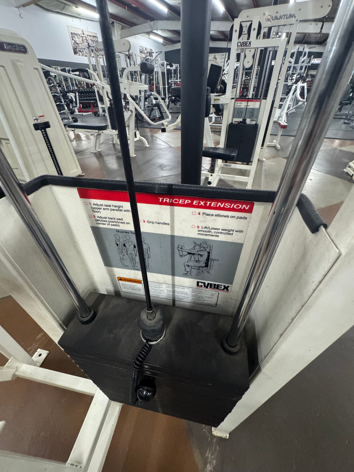 Pre-Owned Cybex 4035 Classic Tricep Extension