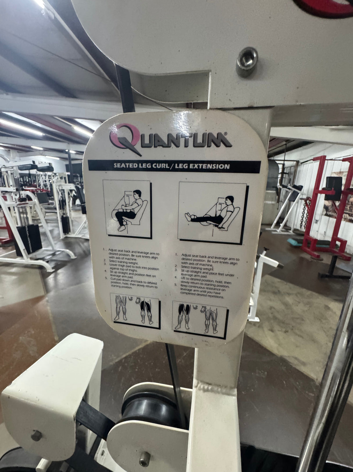 Pre-Owned Quantum Leg Curl / Leg Extension