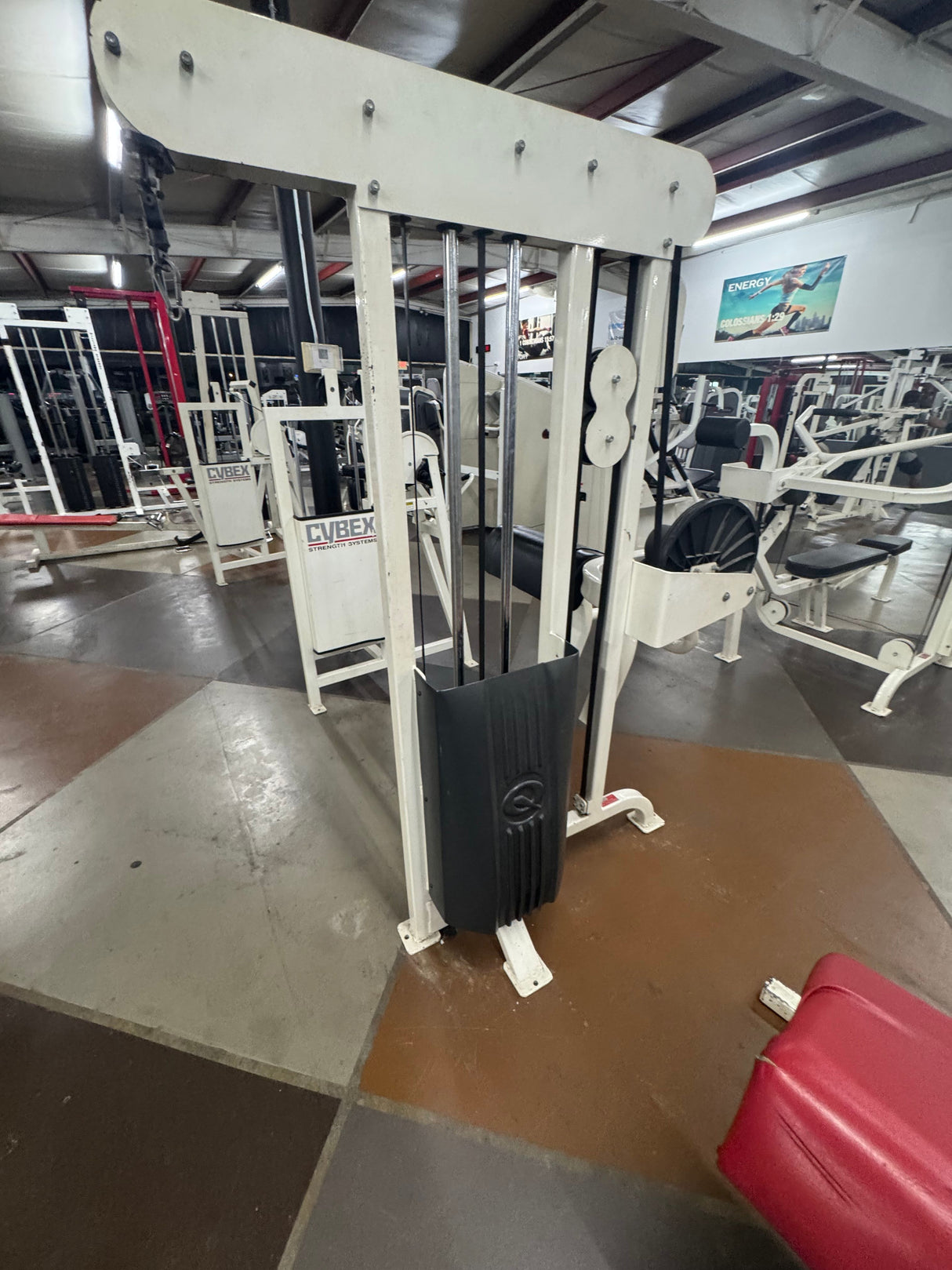 Pre-Owned Quantum Bicep Curl / Tricep Pressdown