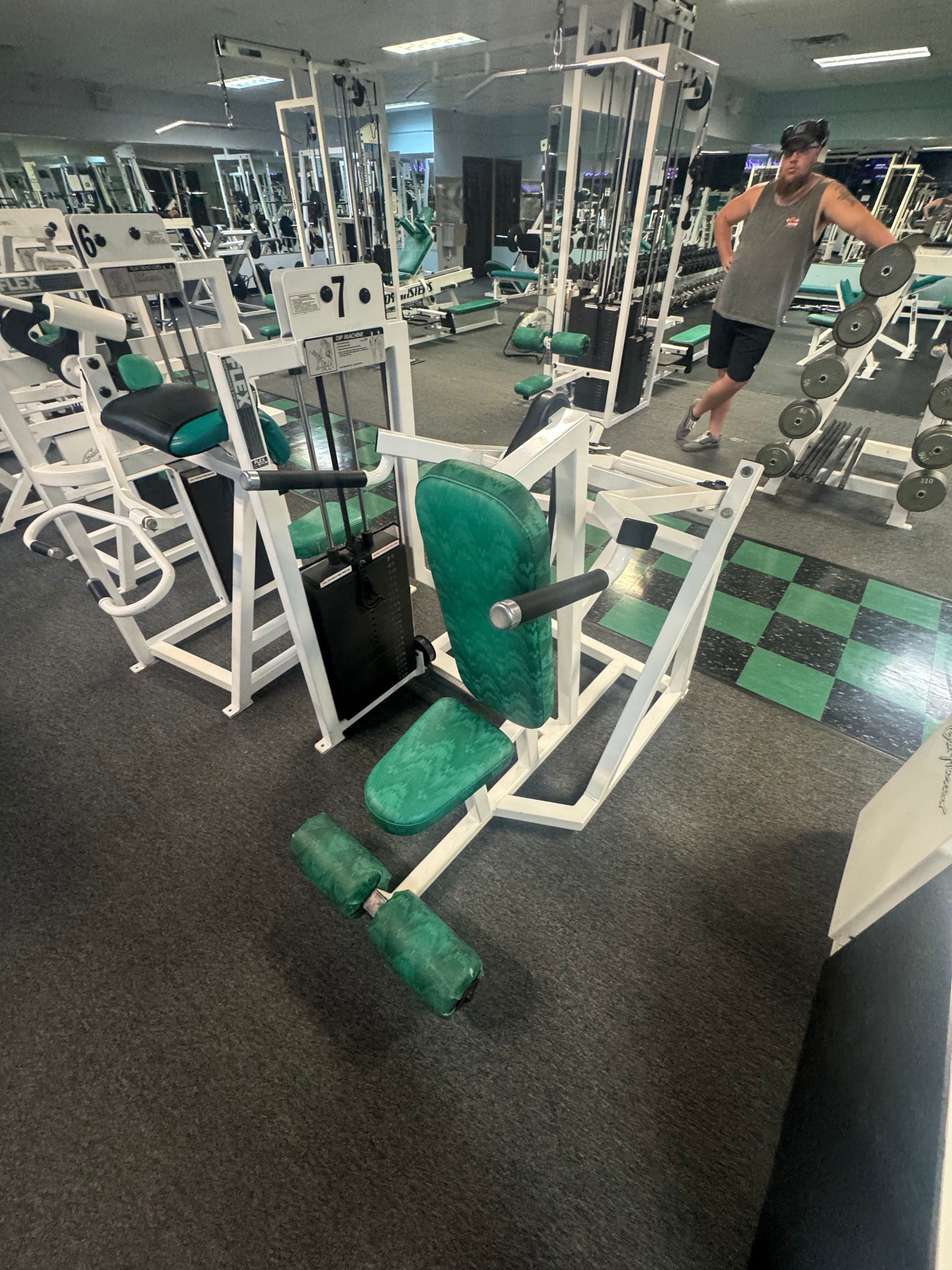 cybex dip machine Pre-Owned Flex Fitness Dip Machine – Exercise Unlimited