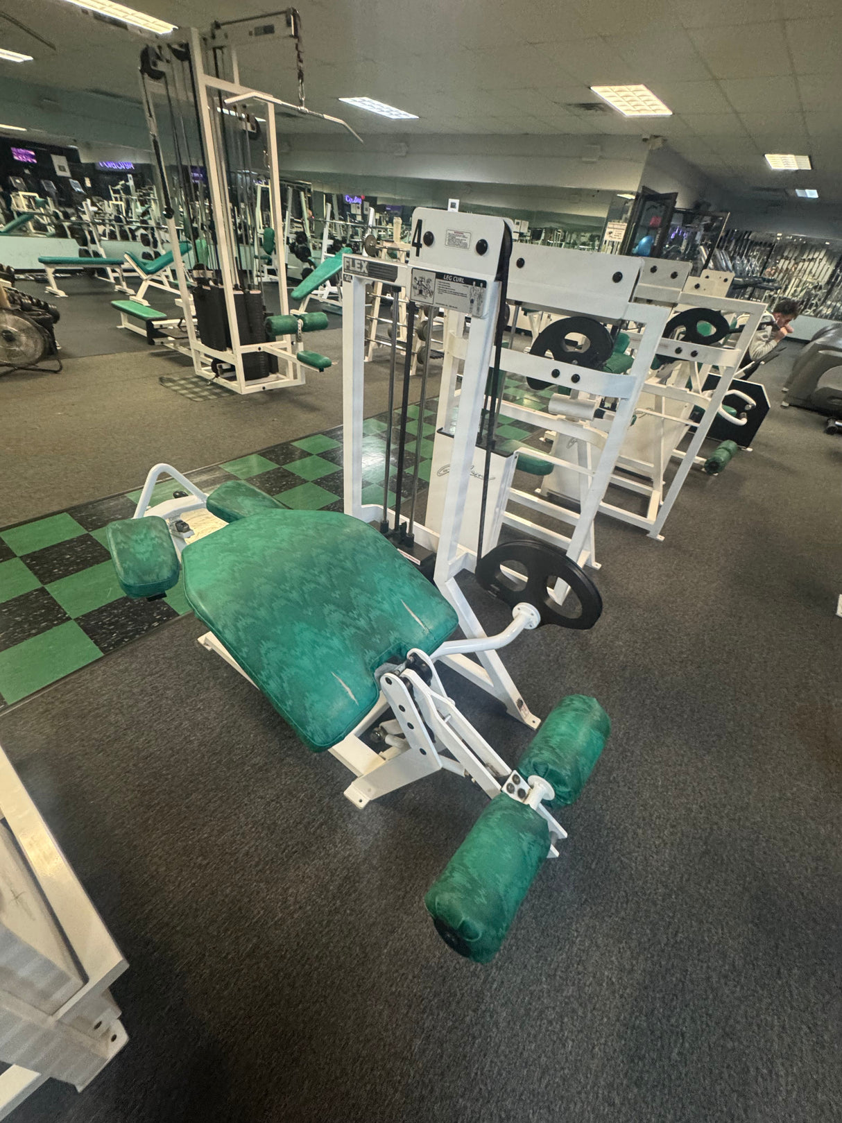 Pre-Owned Flex Fitness Lying Leg Curl