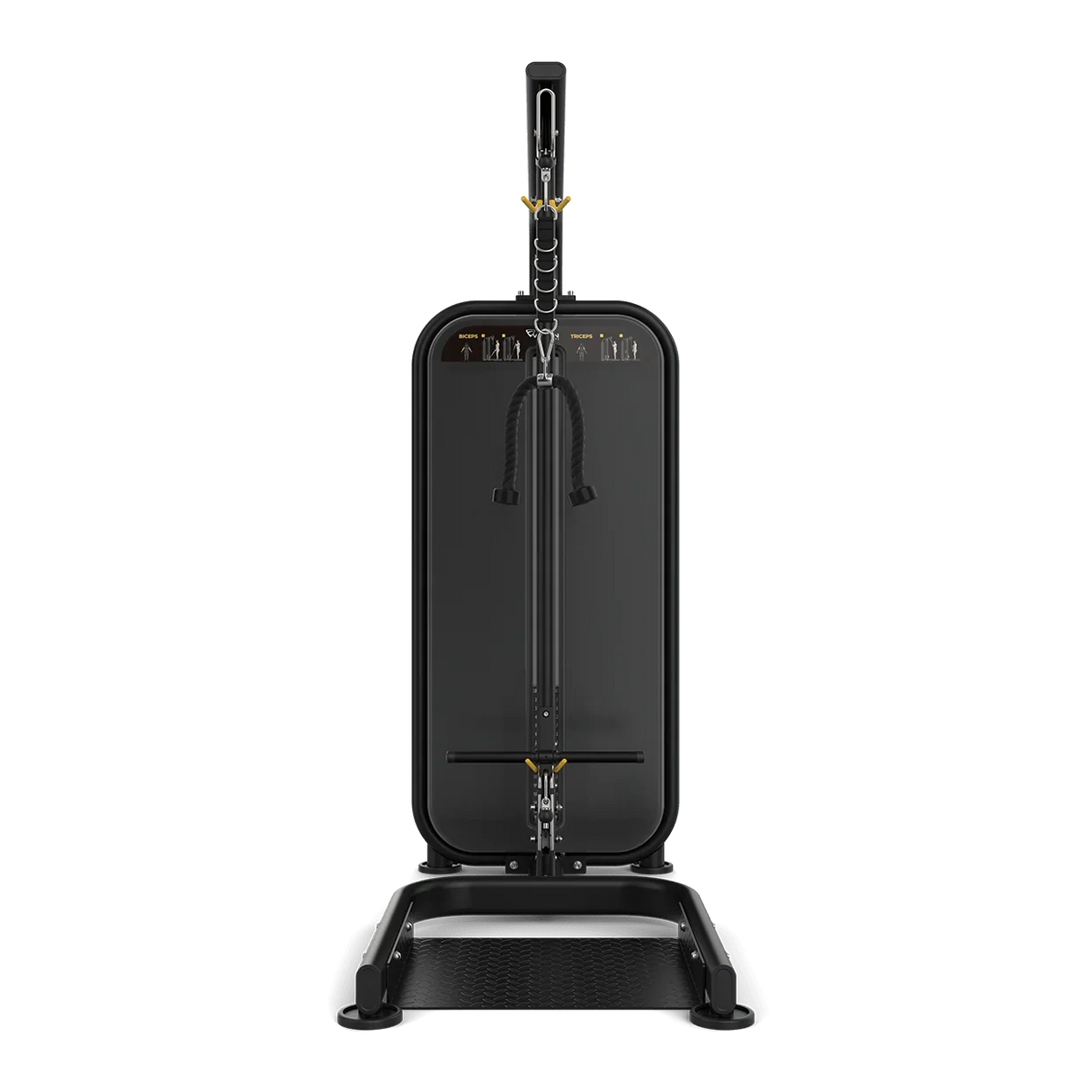 Vision Fitness Biceps / Triceps