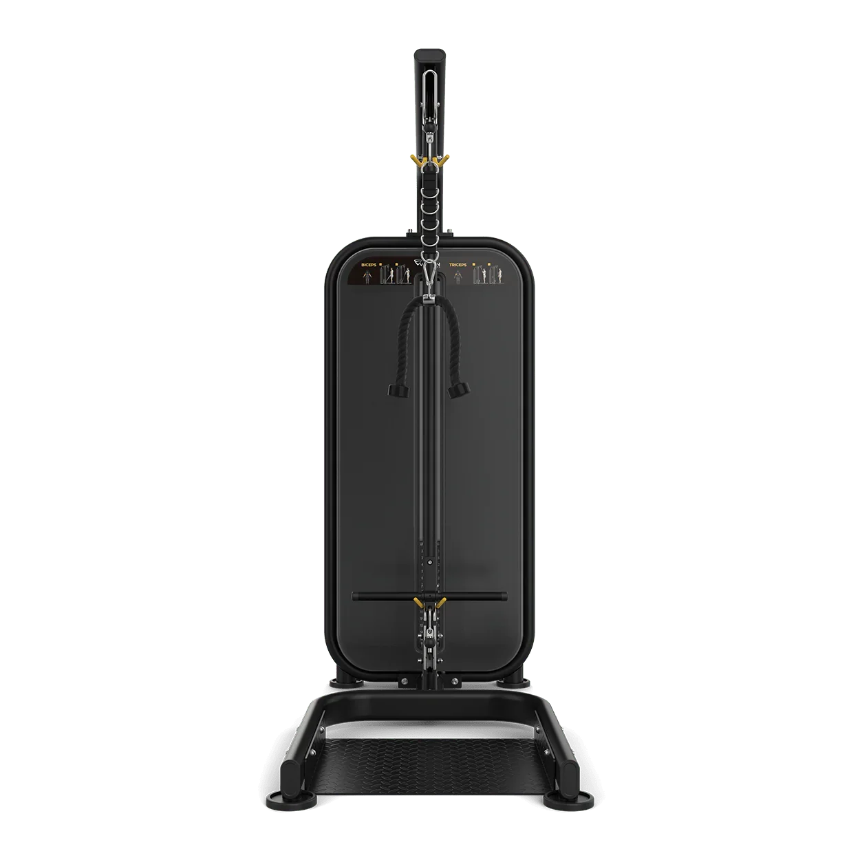 Vision Fitness Biceps / Triceps