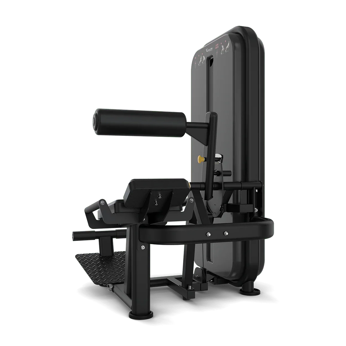 Vision Fitness Abs / Low Back