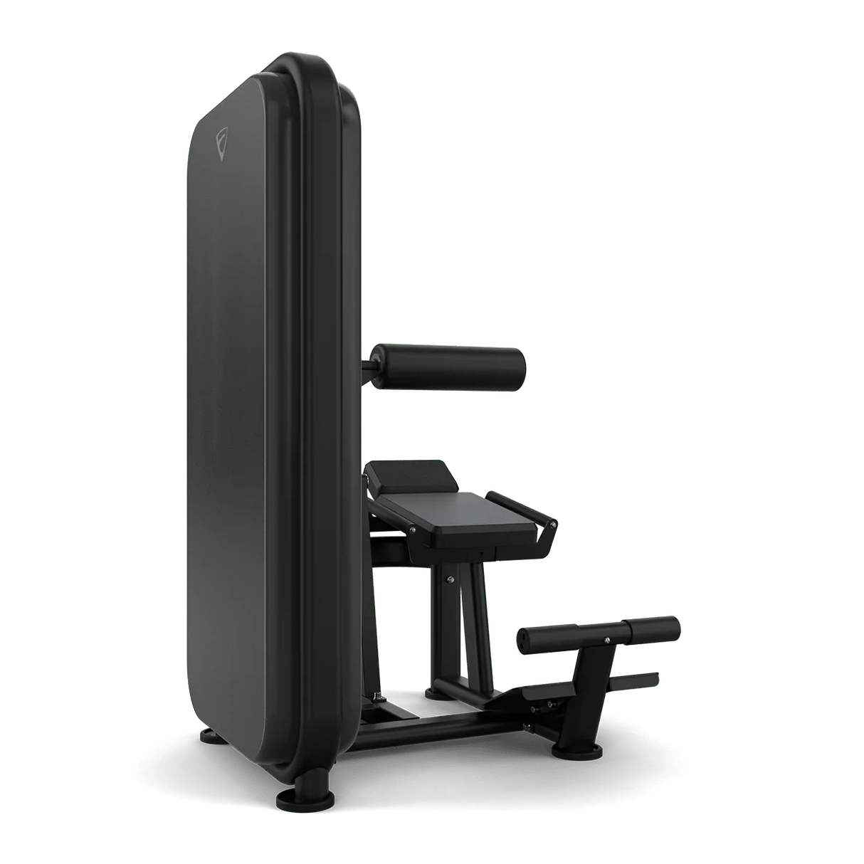 Vision Fitness Abs / Low Back