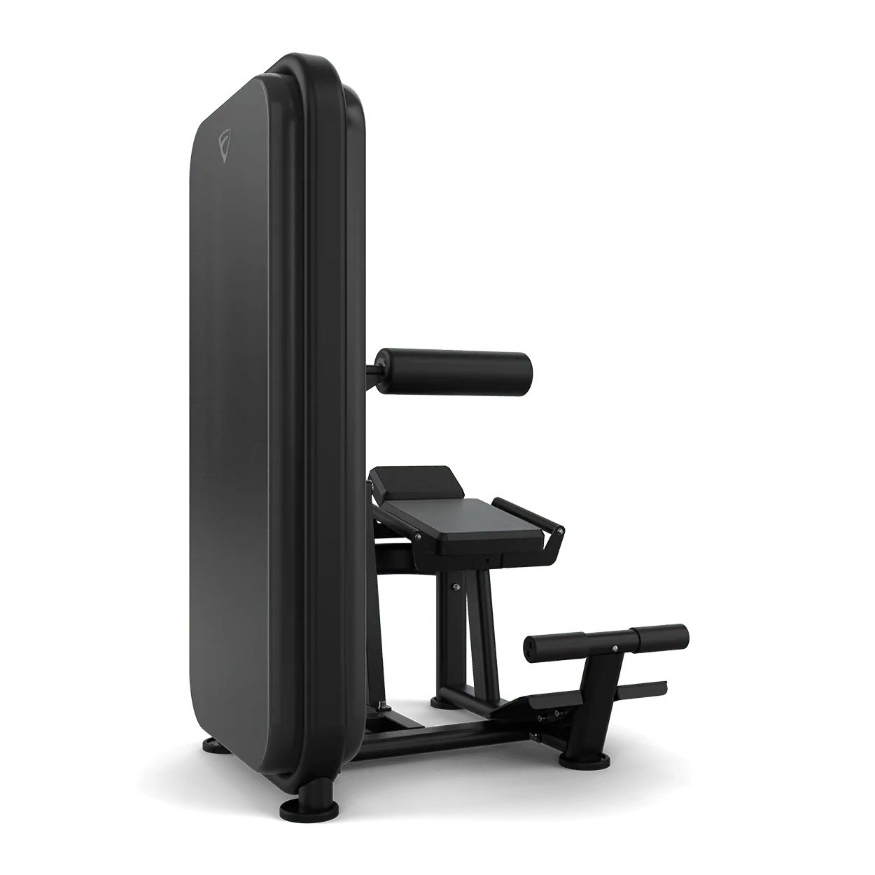 Vision Fitness Abs / Low Back