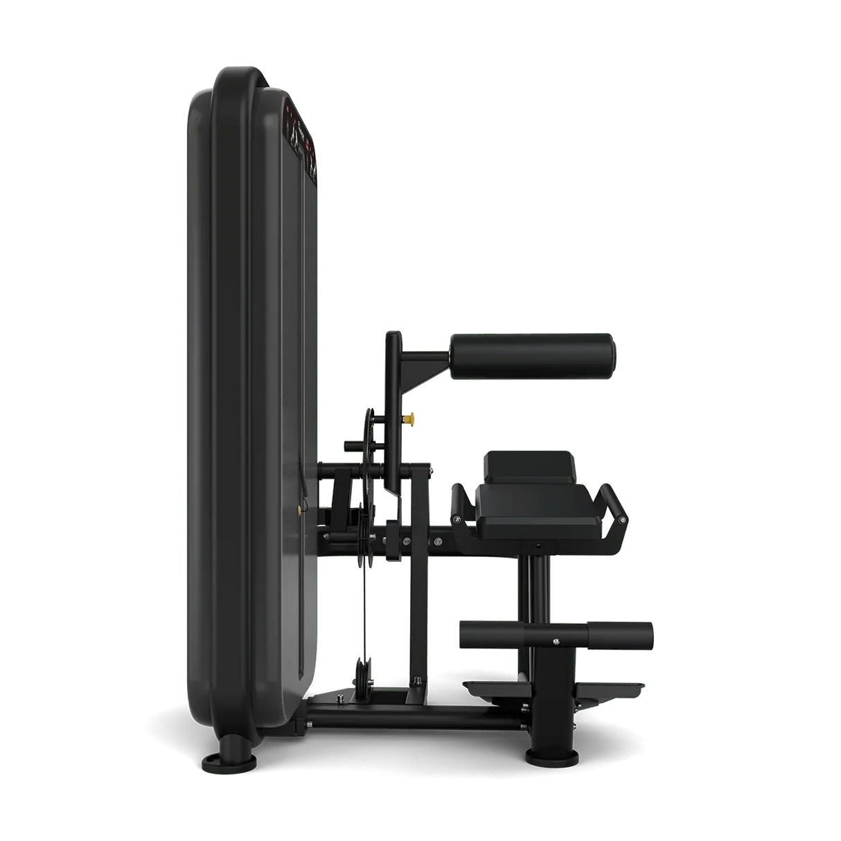 Vision Fitness Abs / Low Back