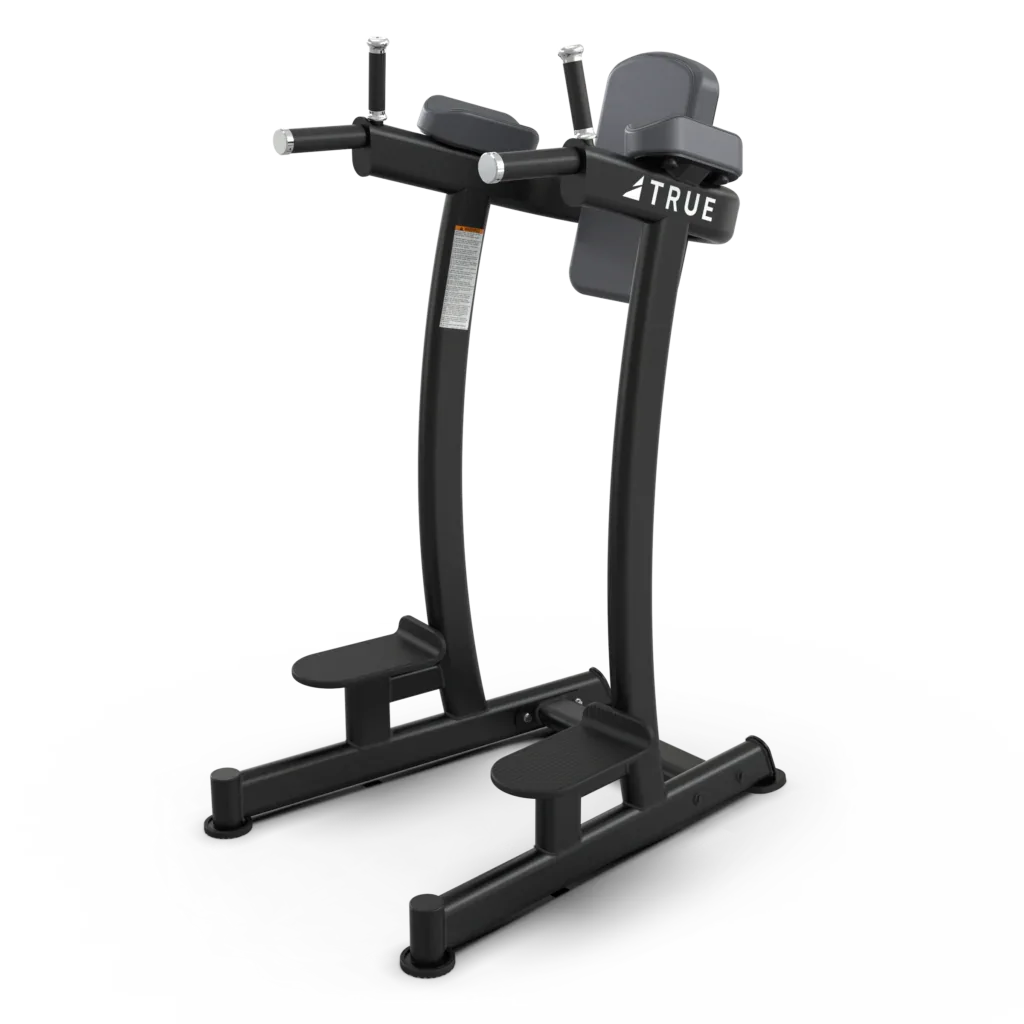 True Fitness XFW-6400 Vertical Knee Raise/Dip