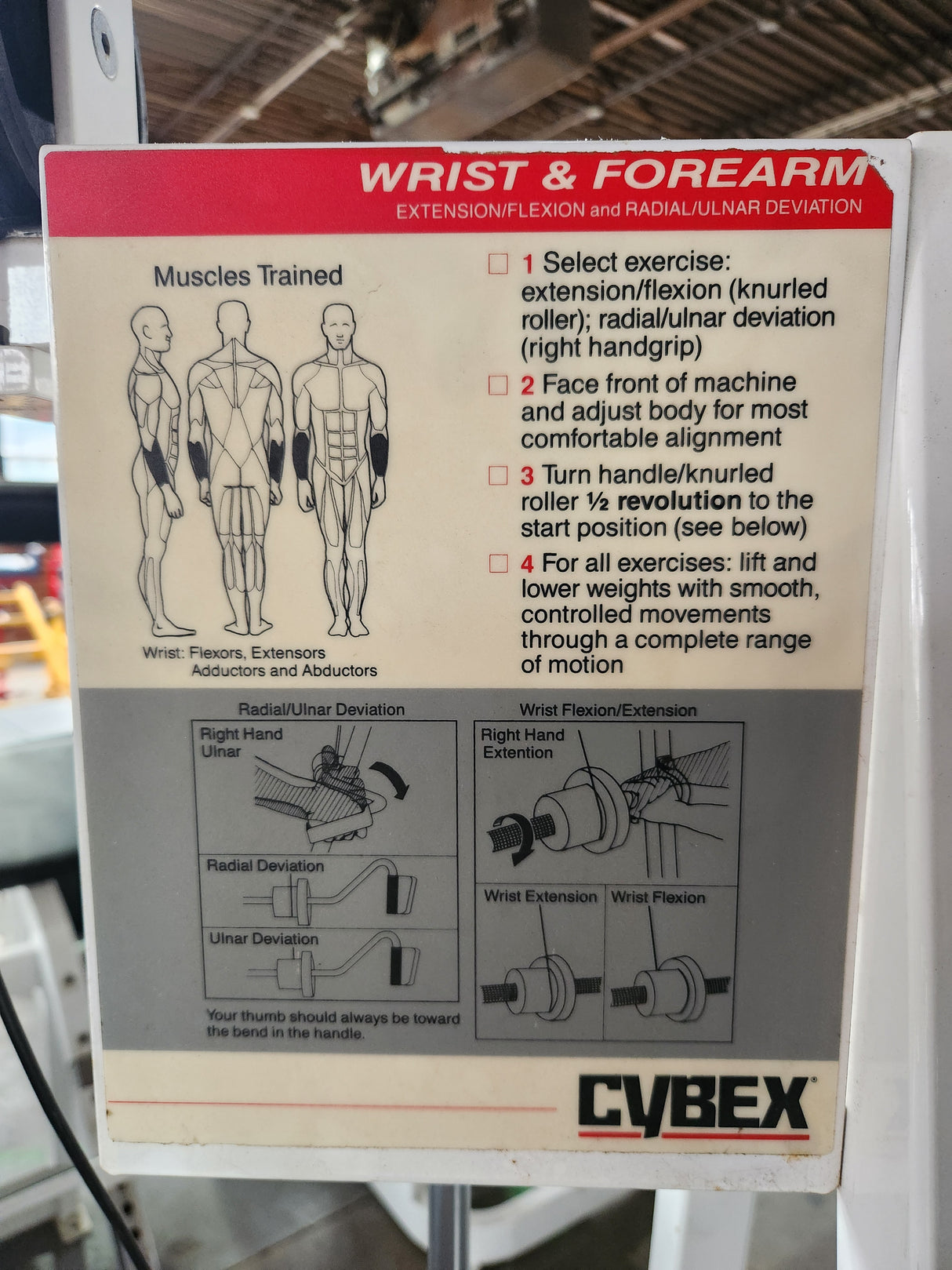 Pre-Owned Cybex 4050 Wrist & Forearm Machine