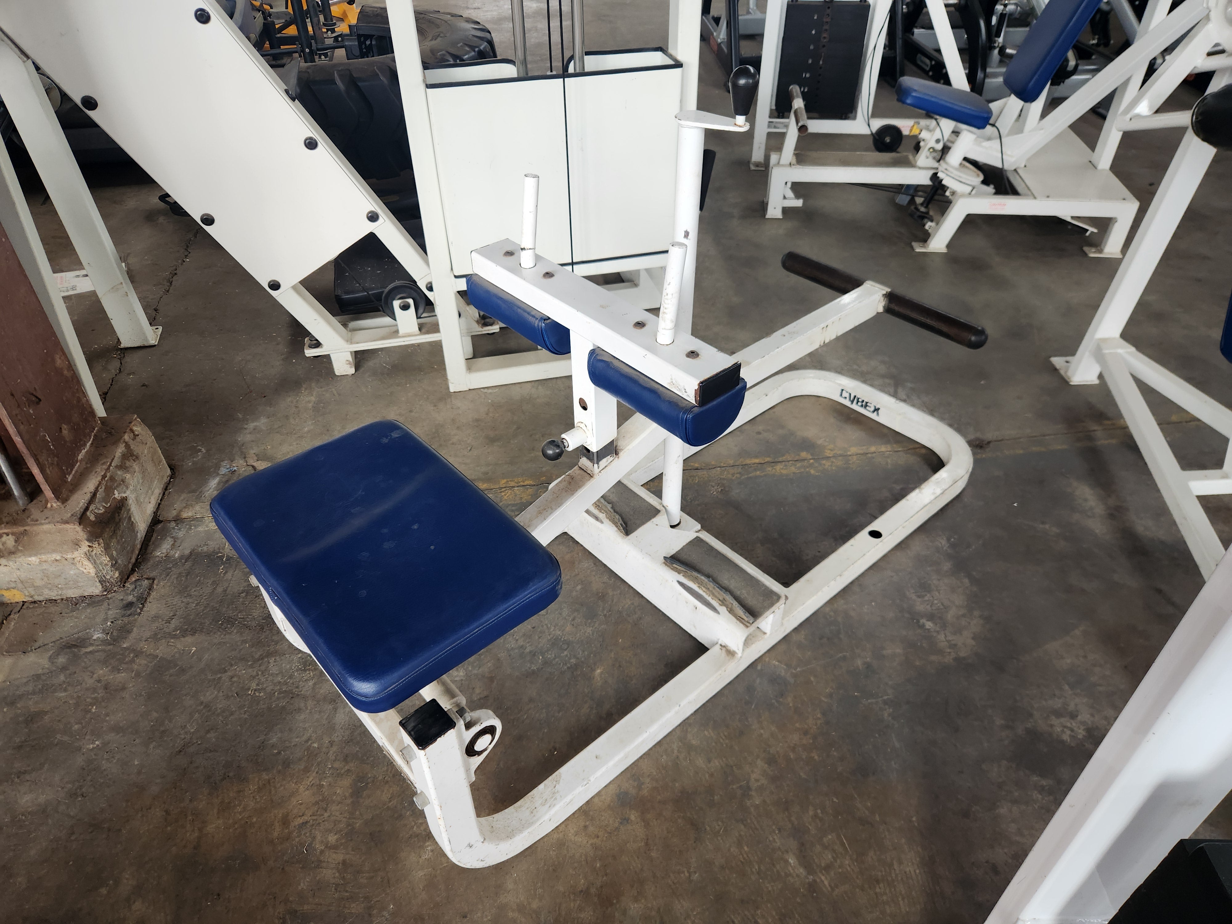 Pre-Owned Cybex Plate Loaded Seated Calf Raise (blue) – Exercise Unlimited