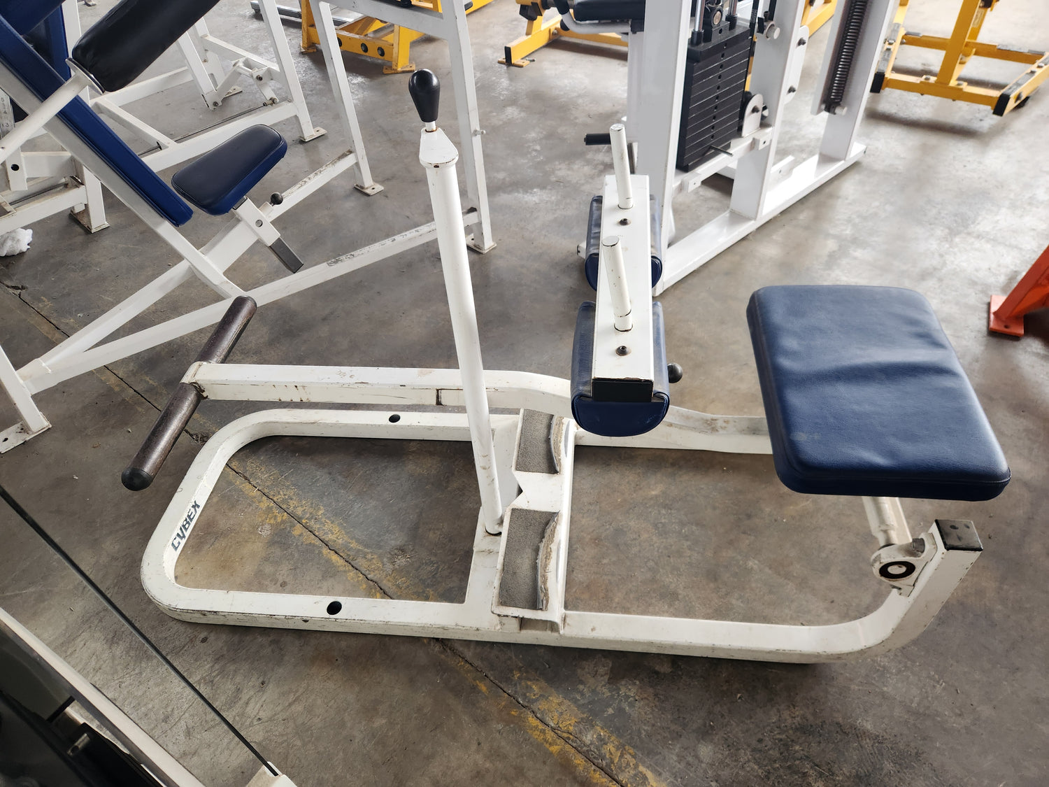 cybex plate tree Pre-Owned Cybex Plate Loaded Seated Calf Raise (blue) – Exercise Unlimited