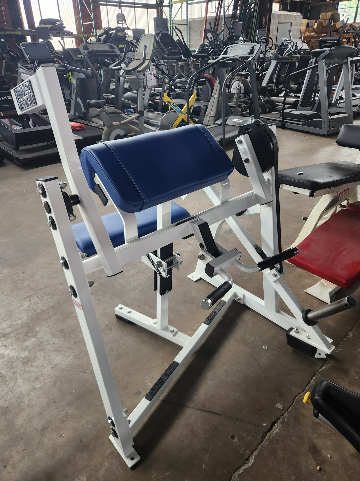 Pre-Owned Hammer Strength Plate Loaded Arm Curl