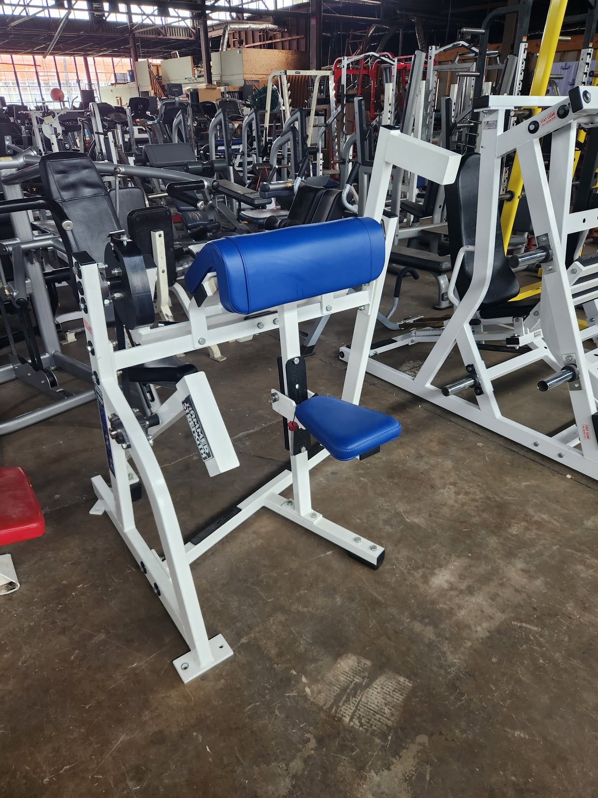 Pre-Owned Hammer Strength Plate Loaded Arm Curl