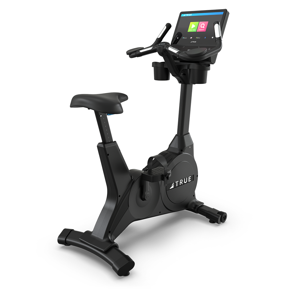 True Fitness Gravity Series Upright Bike