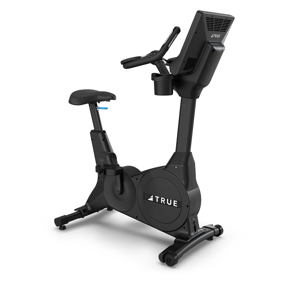 True Fitness Gravity Series Upright Bike